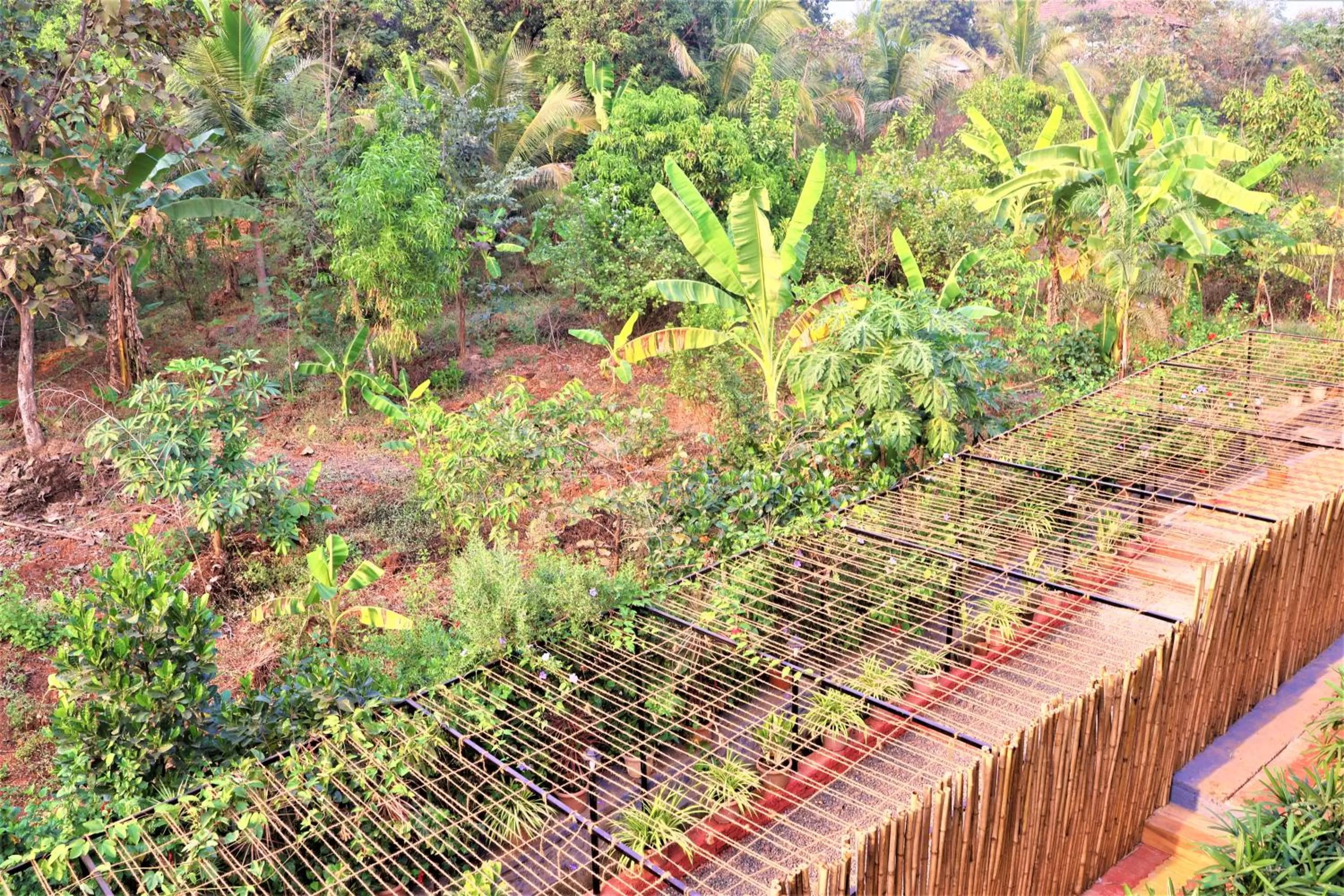 Natural landscape in Saveda Farm & Cottages