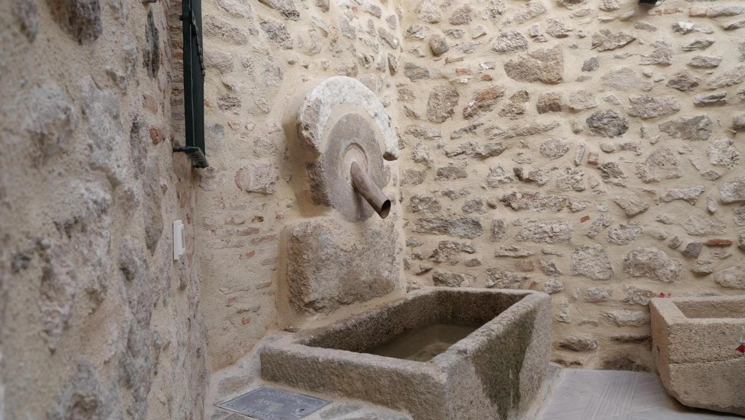 Restaurant/places to eat, Other Animals in La Casa de Carlota