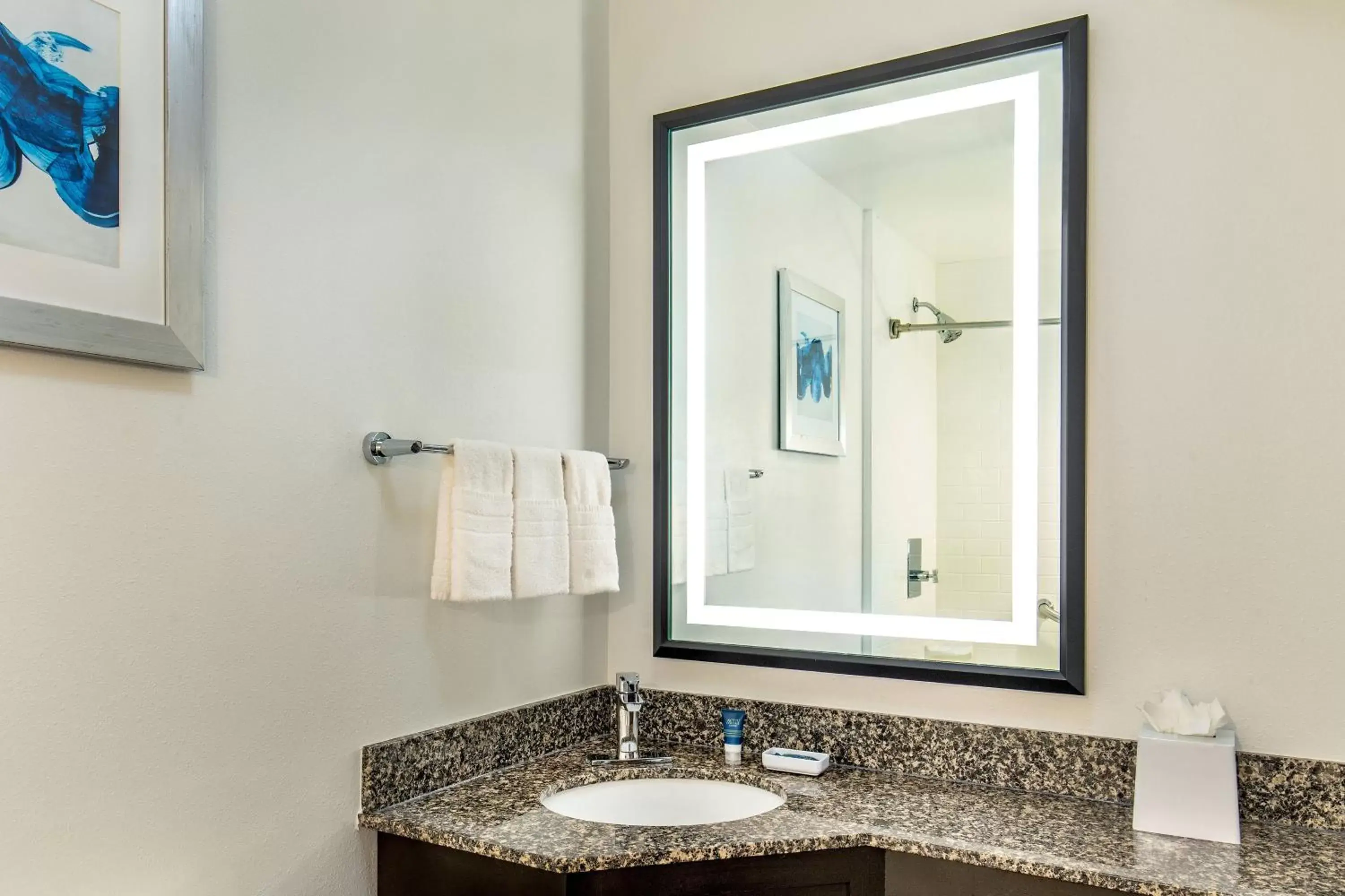 Bathroom in Four Points by Sheraton Kalamazoo