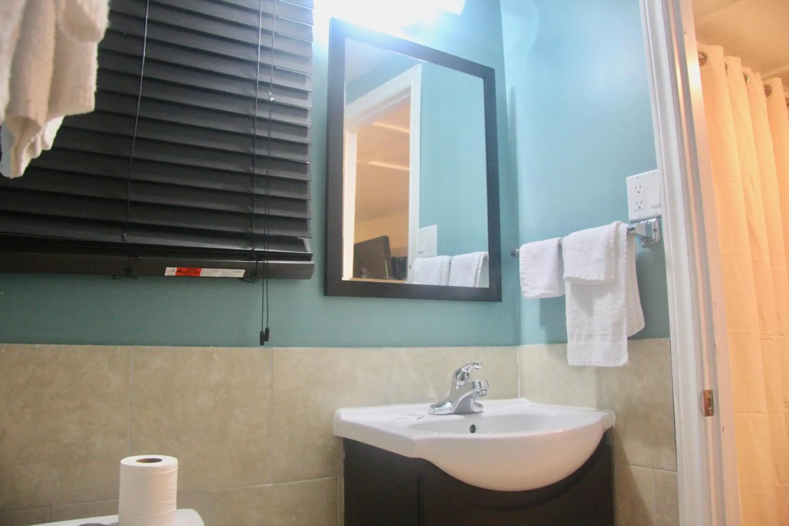 Bathroom in American Plaza Motel