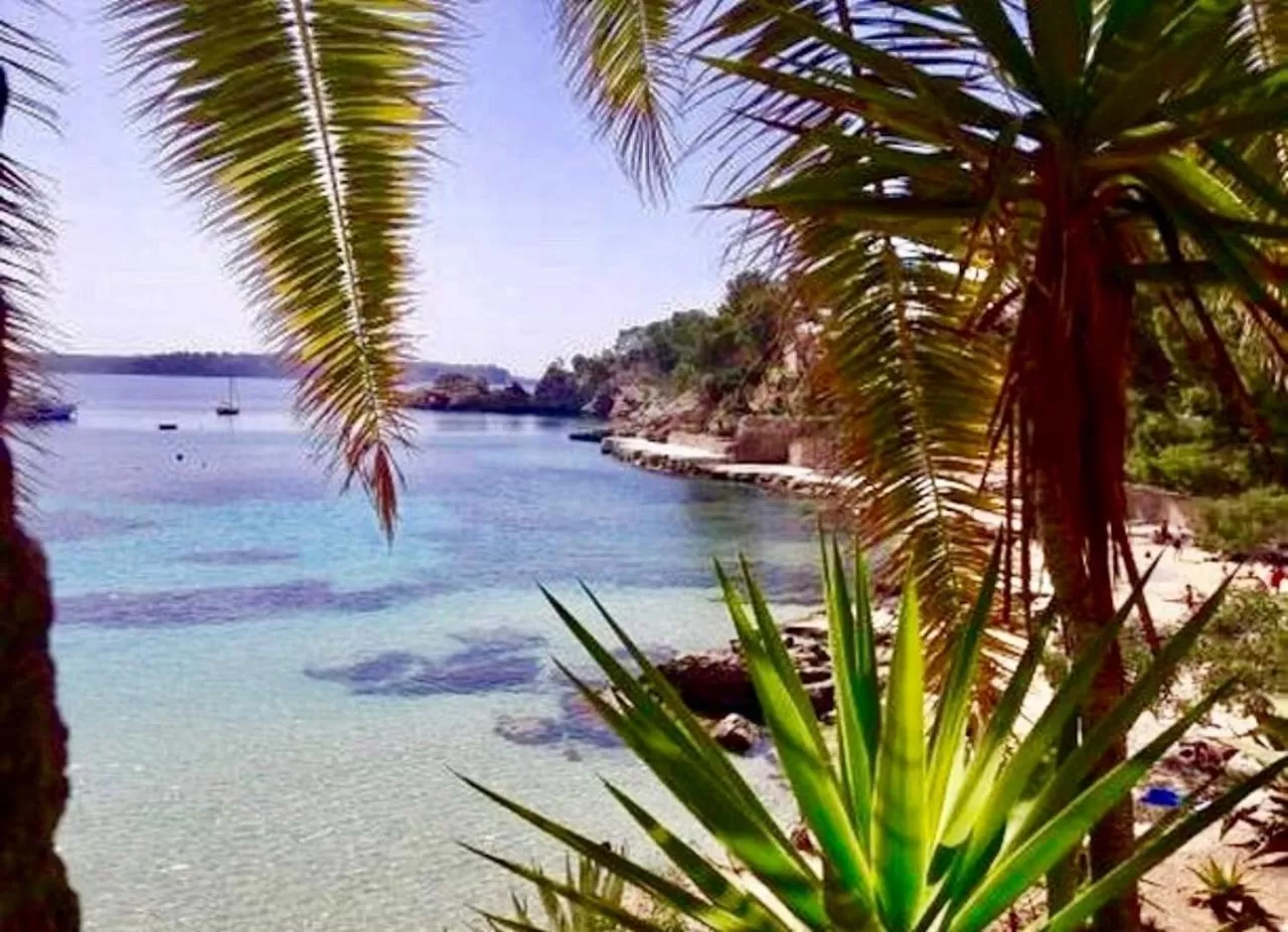 Bella Colina I Vintage Hotel 1953