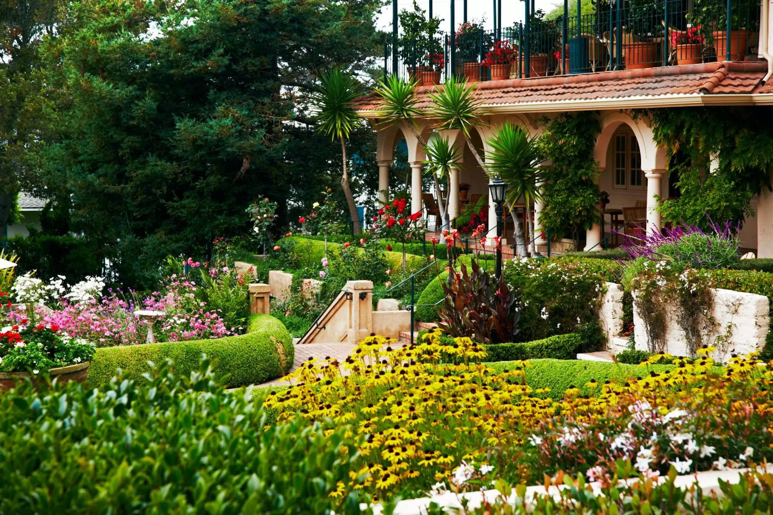 Garden in La Playa Hotel