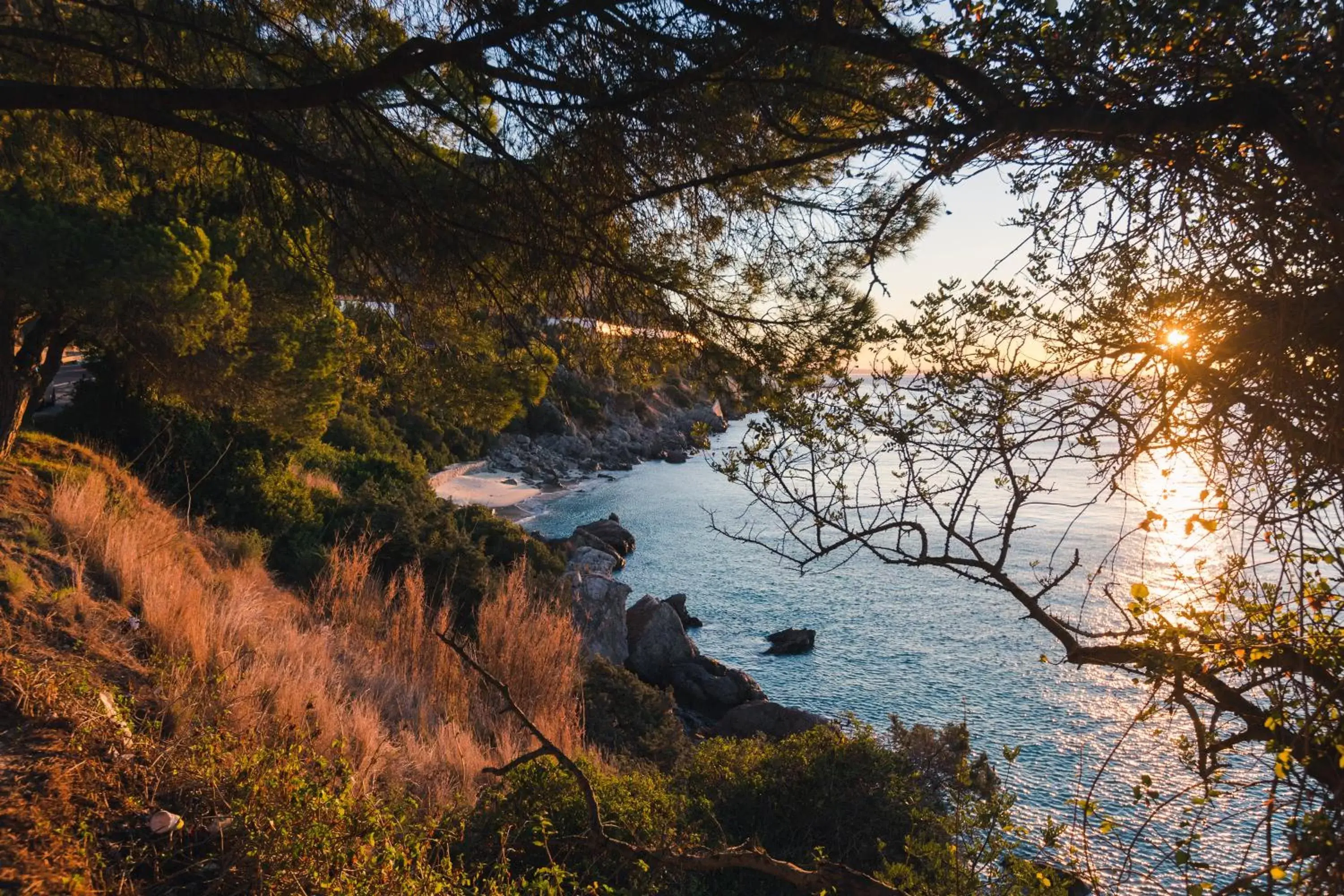 Natural landscape in Hotel Arangues