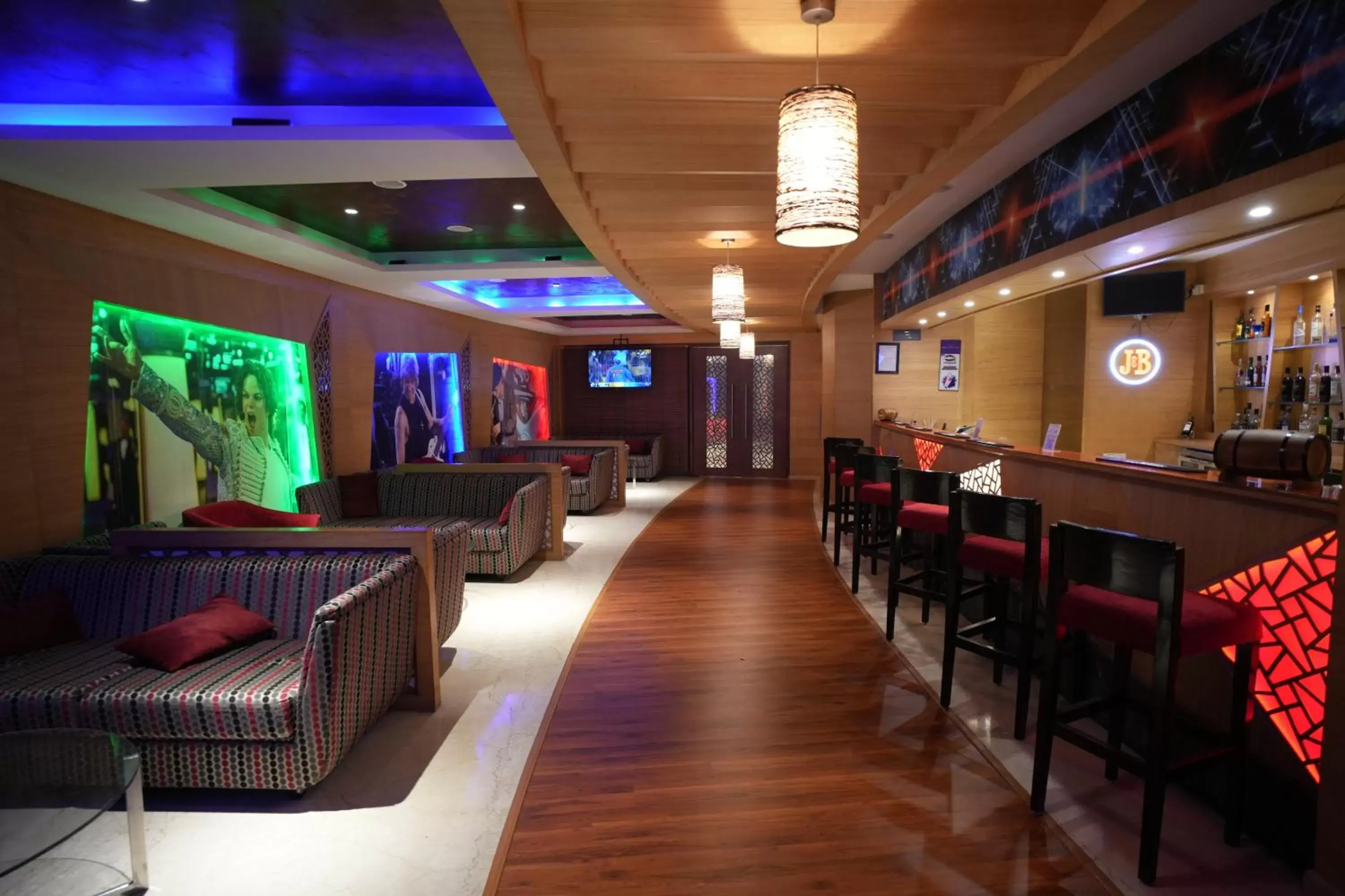 Lounge/Bar in Radisson Udaipur