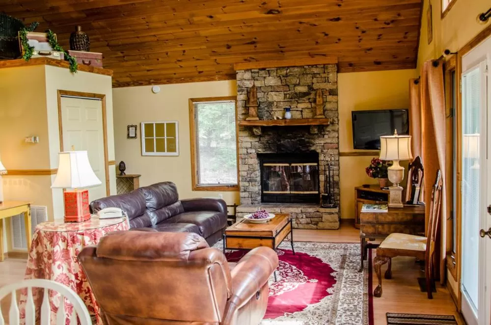 Living room in Asheville Cabins of Willow Winds