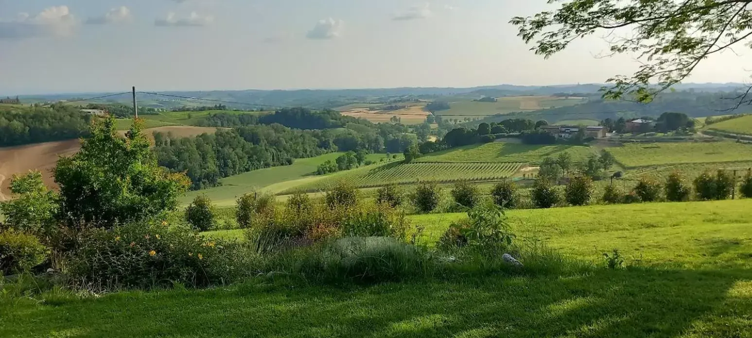 Garden in Villa Pieve