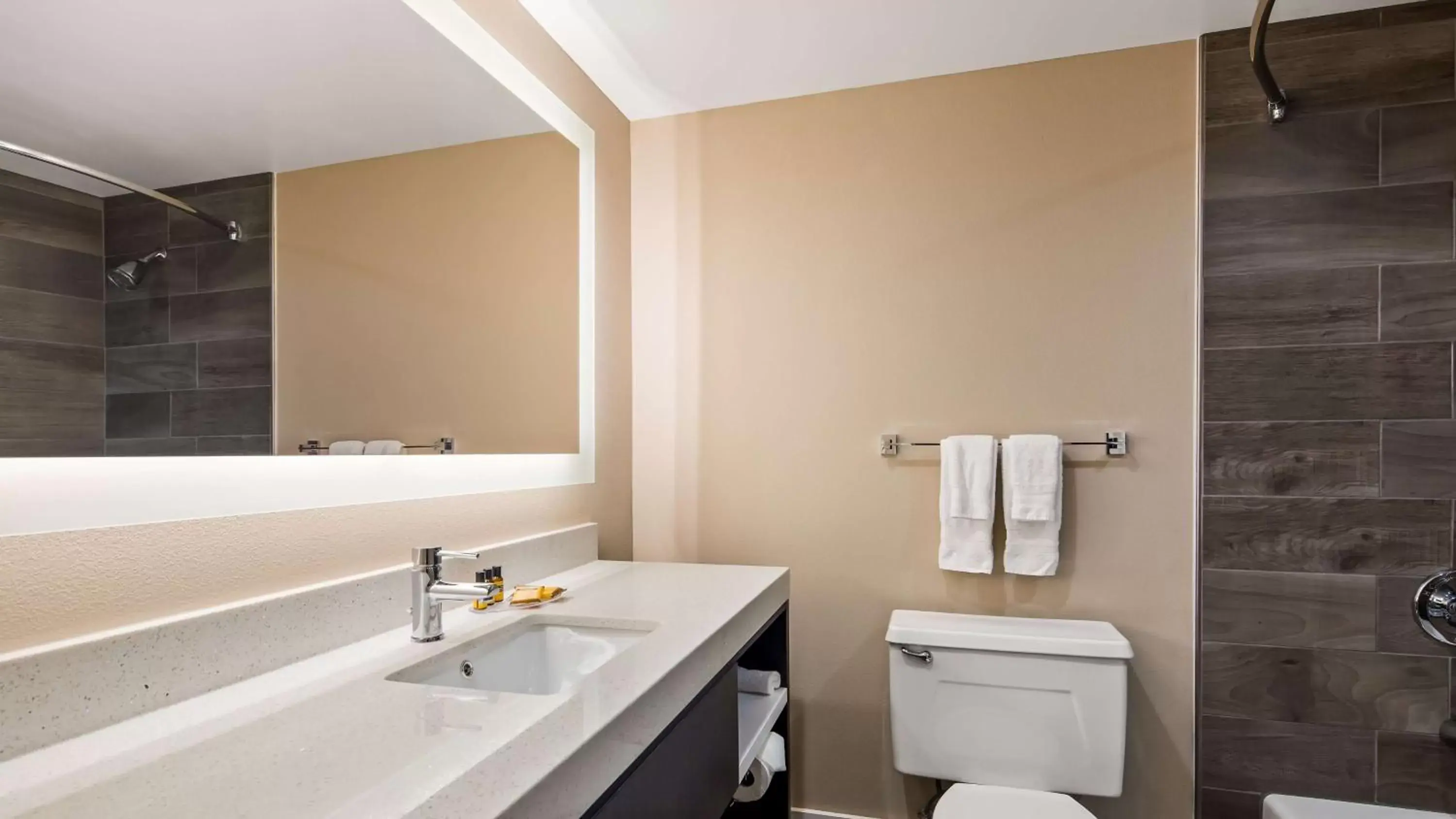 Bathroom in Best Western Plus Greenville I-385 Inn & Suites