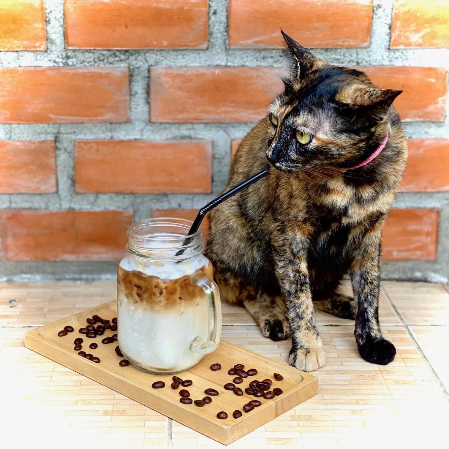 Food and drinks in My Chiangmai Boutique Lodge