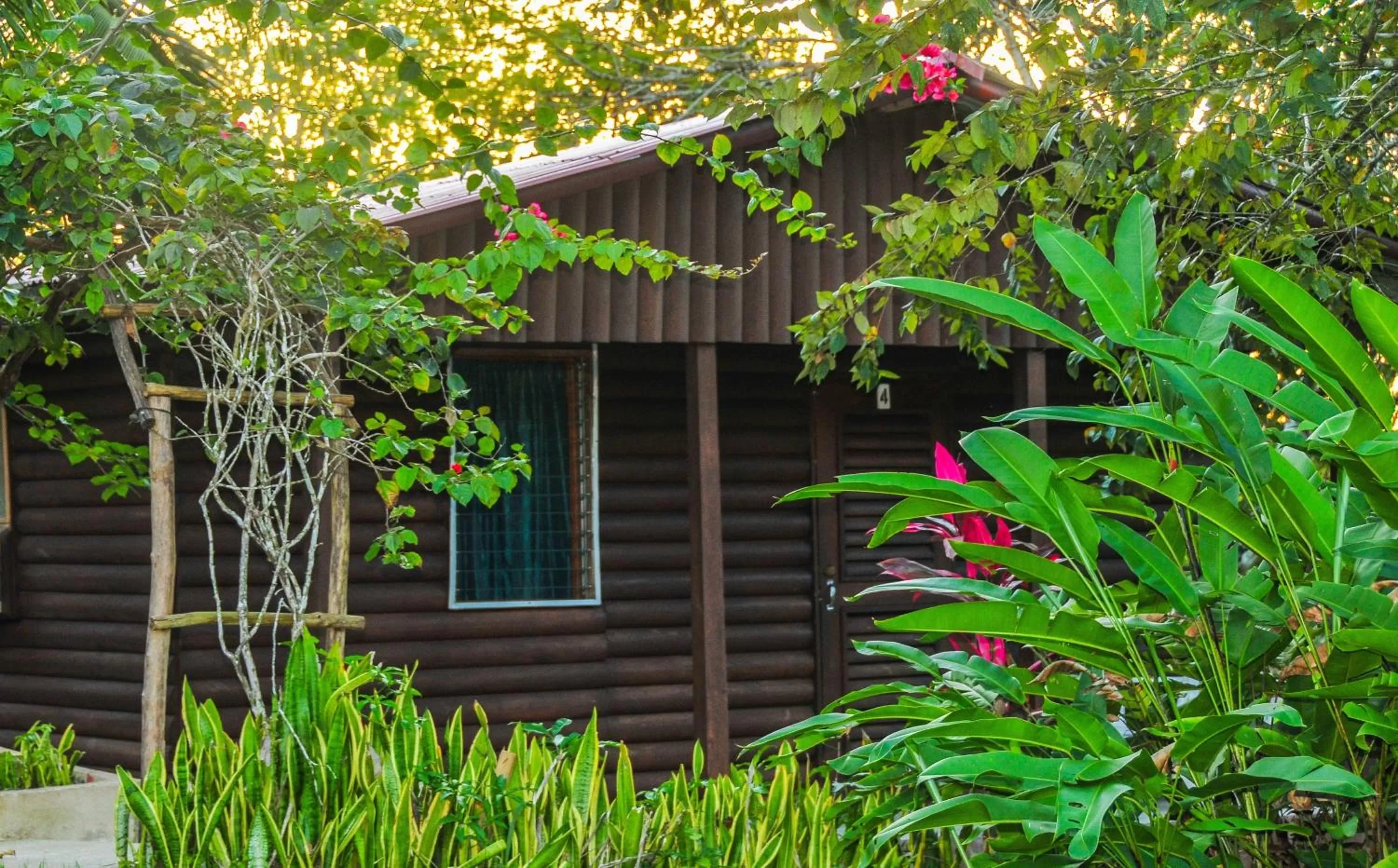 View (from property/room) in The Log Cab-Inn