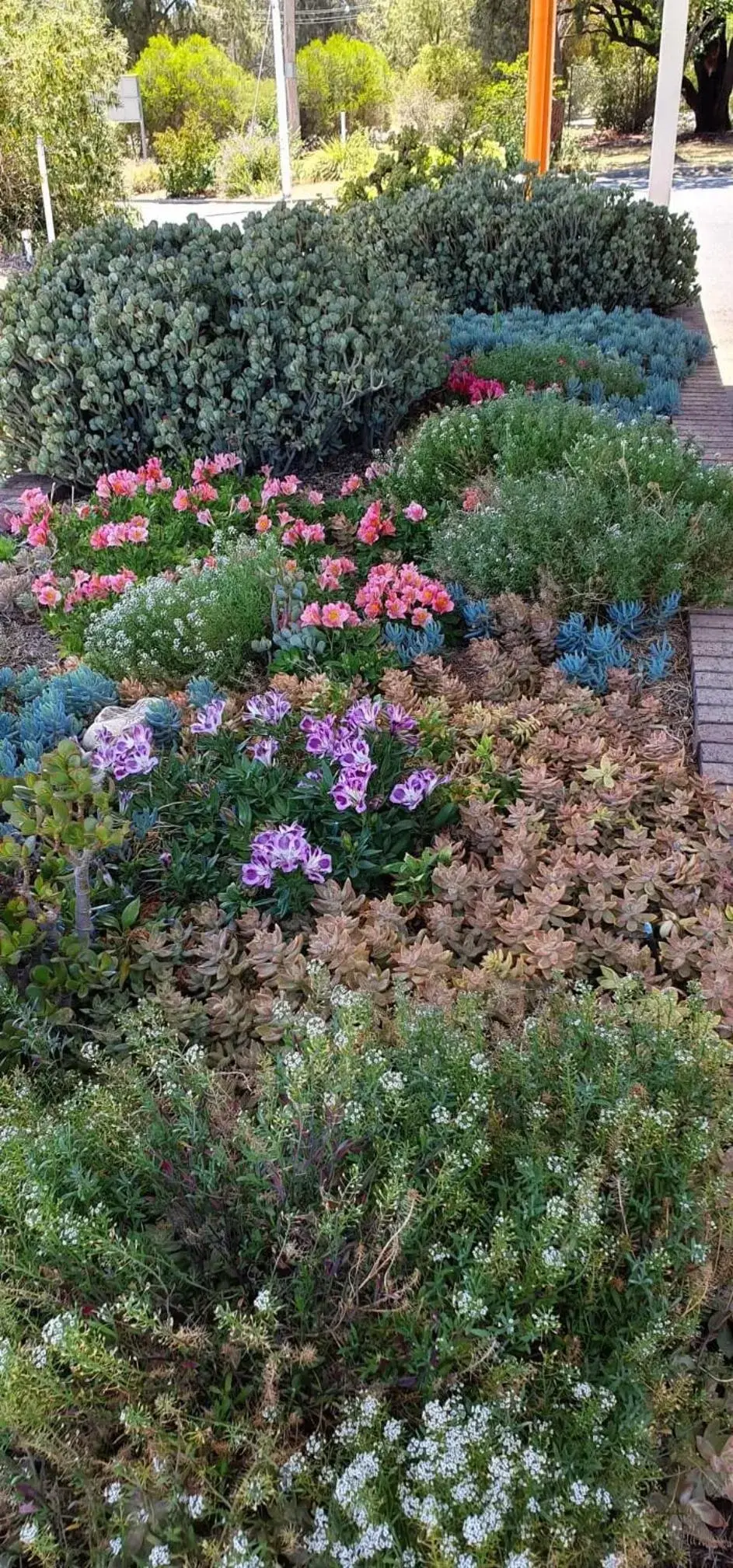 Garden in Byer Fountain Motor Inn