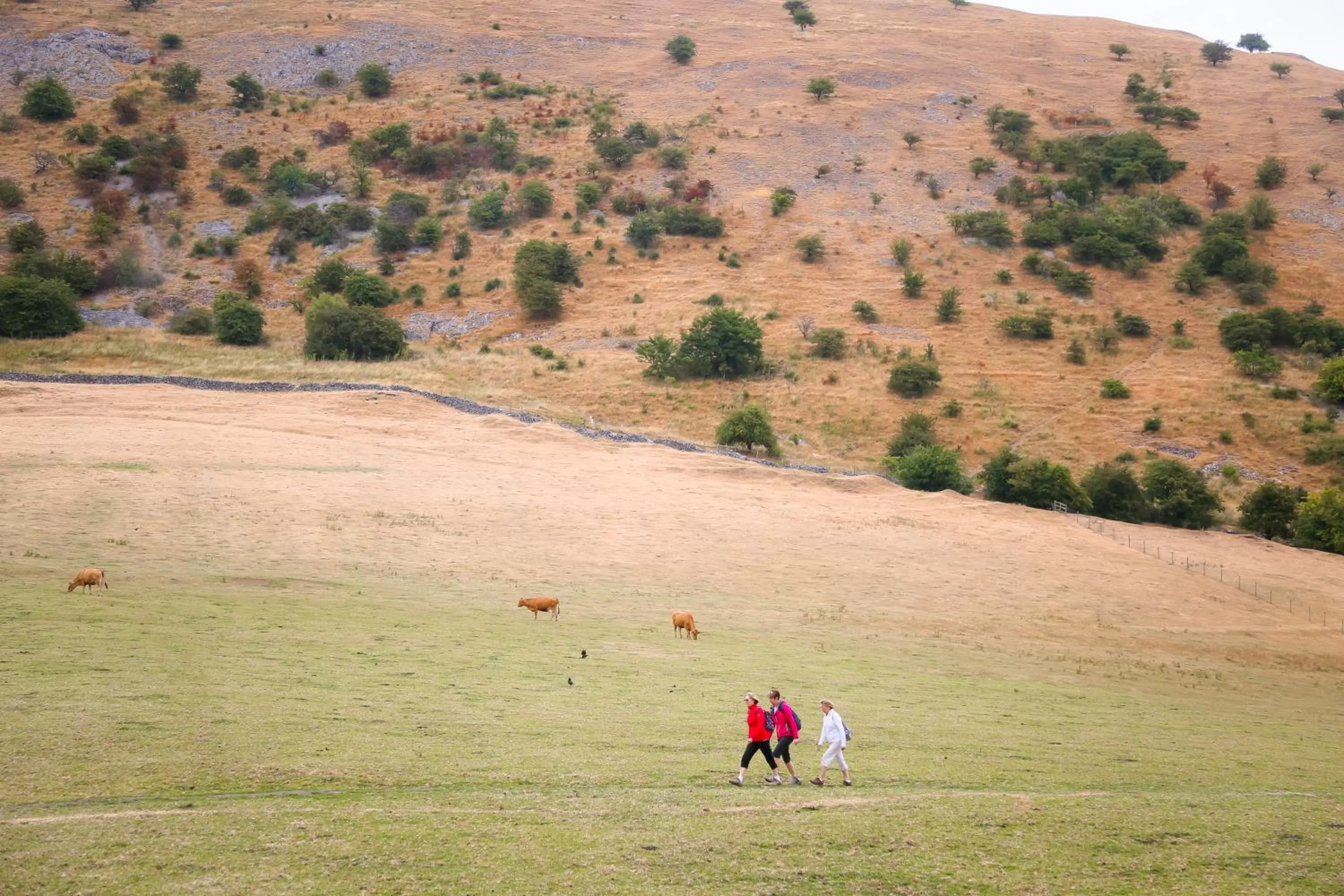Natural landscape in The Izaak Walton Country House Hotel - Dovedale