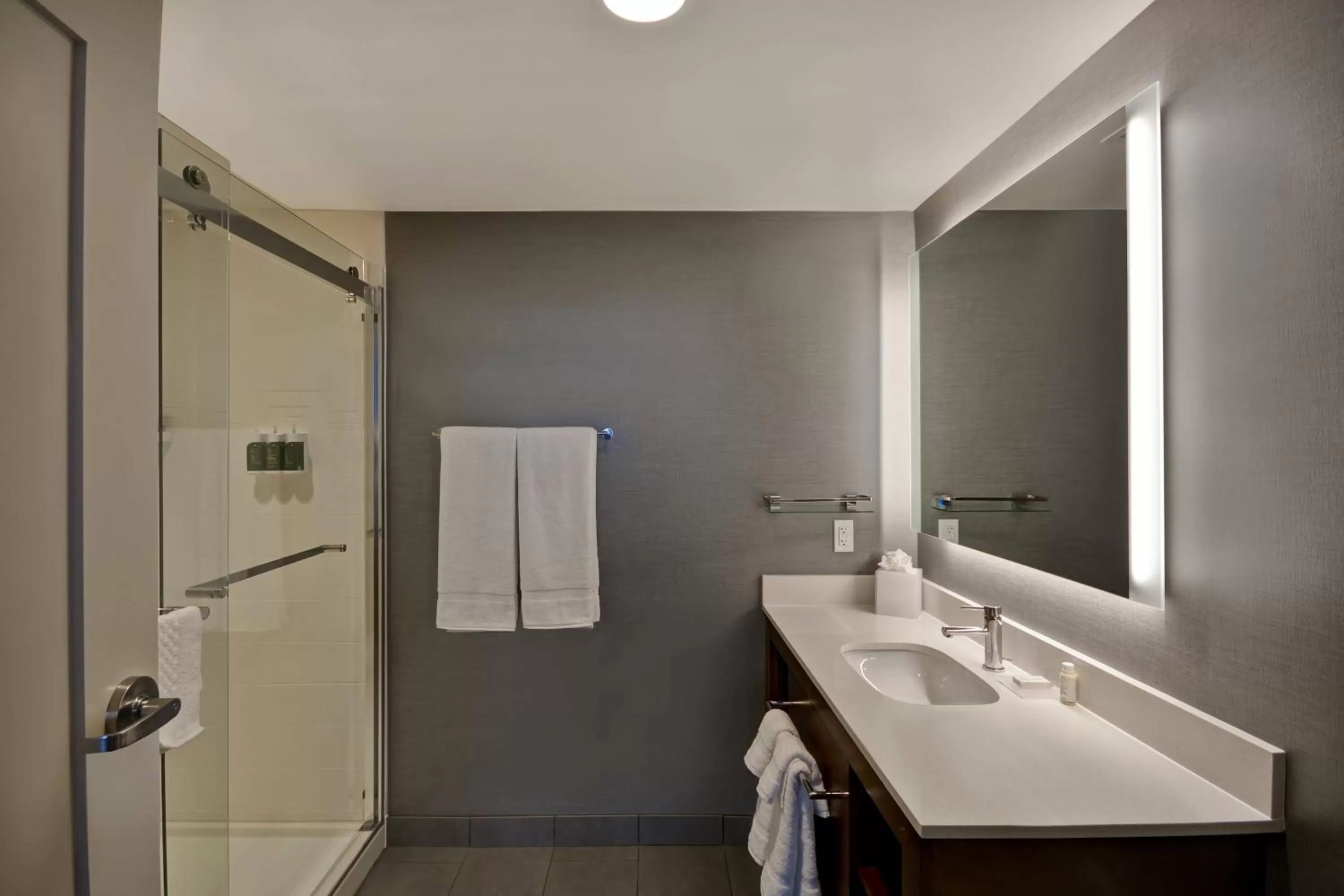 Bathroom in Residence Inn by Marriott New Orleans French Quarter Area/Cen B