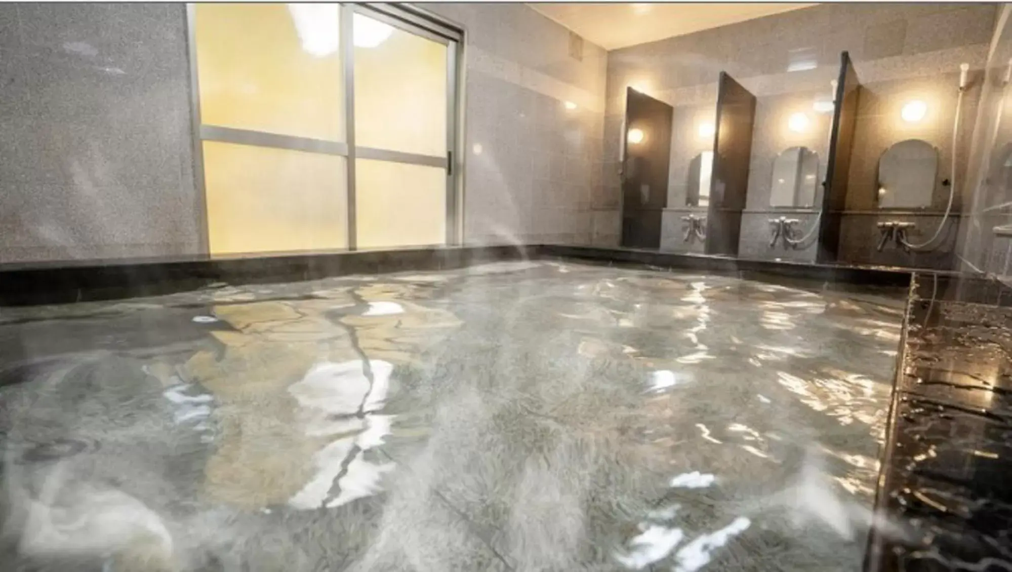 Public Bath, Swimming Pool in Hotel New Gaea Iizuka