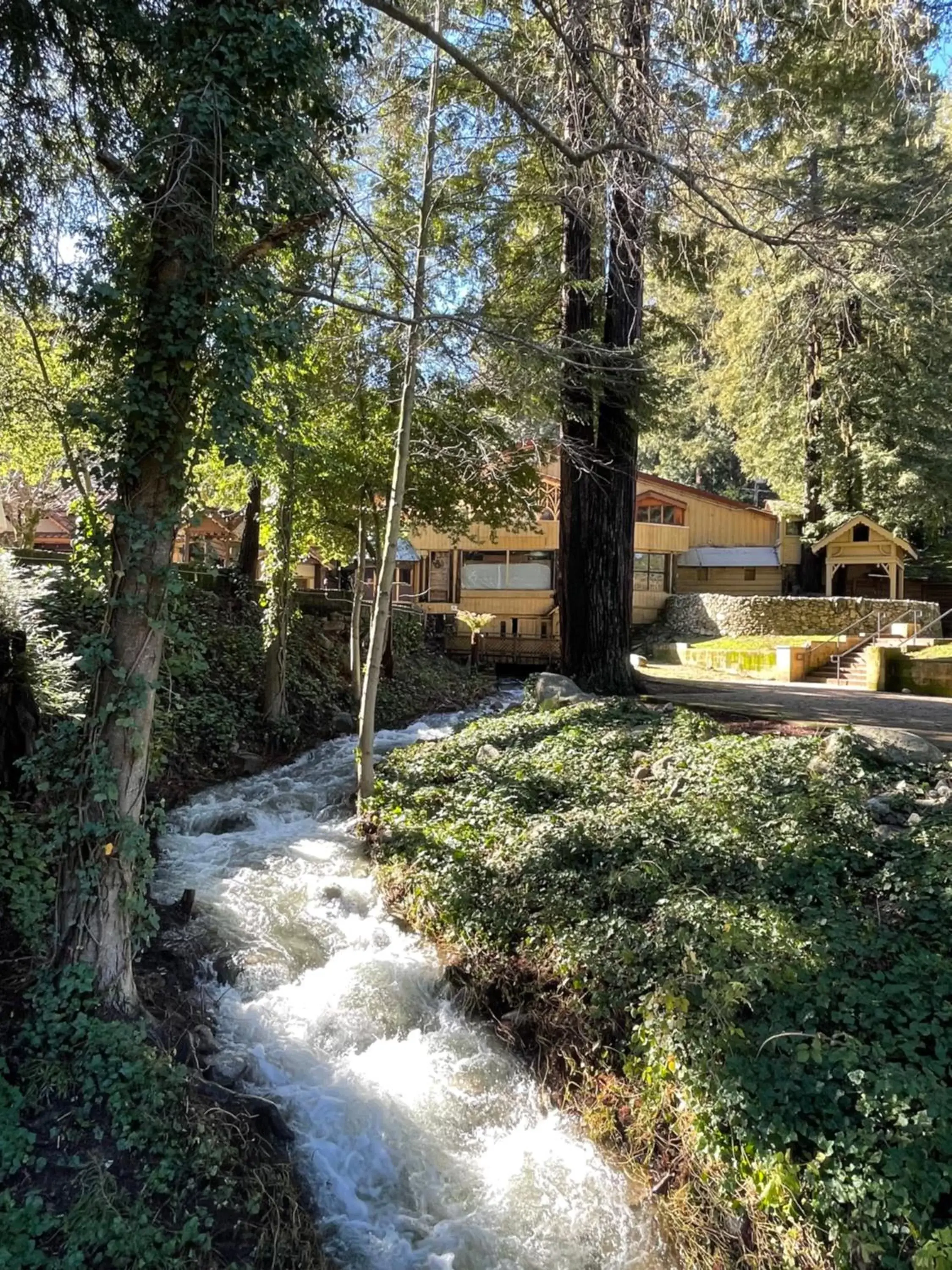 Nearby landmark in The Historic Brookdale Lodge, Santa Cruz Mountains