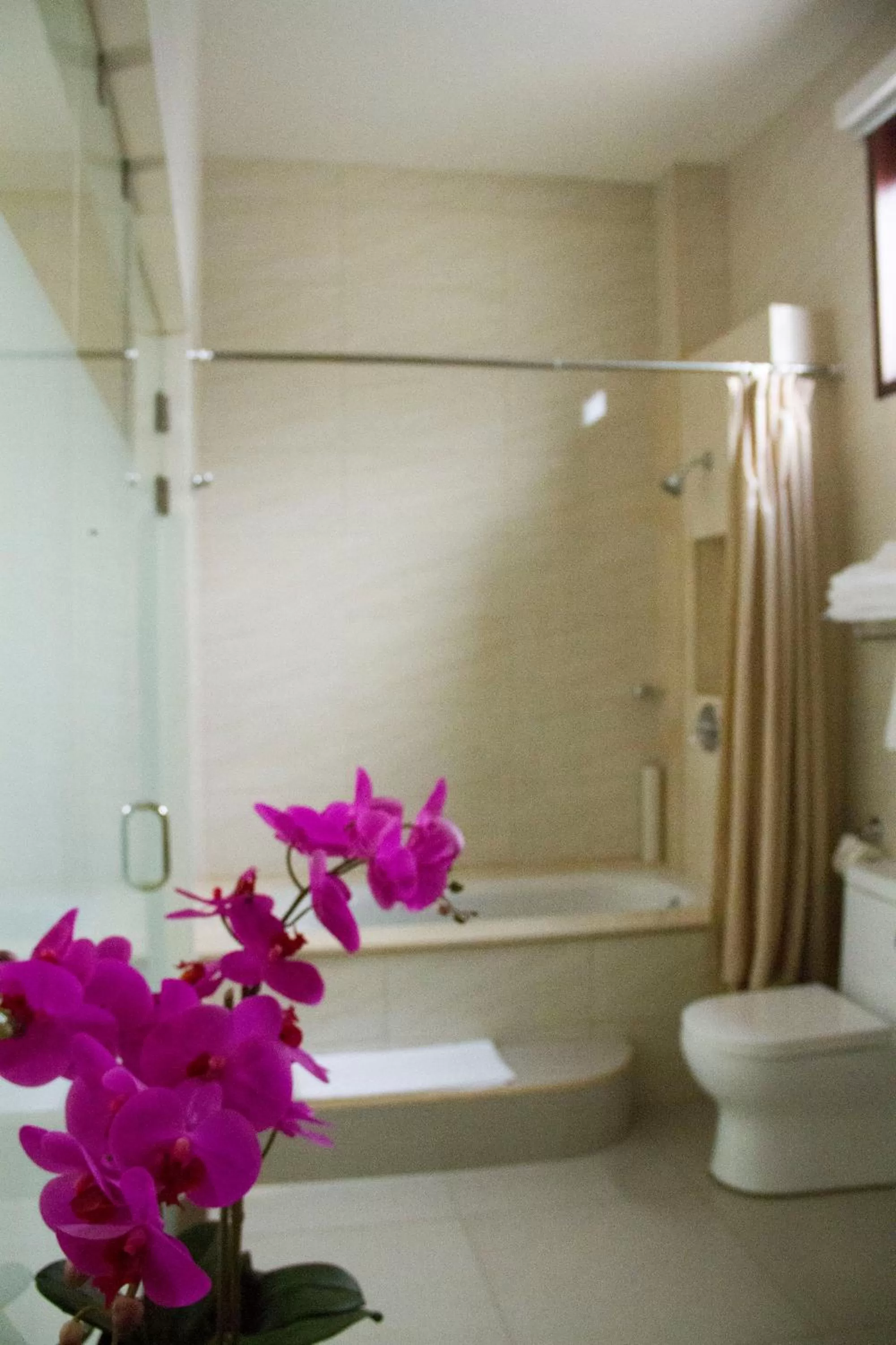 Shower in Hotel Agualcas