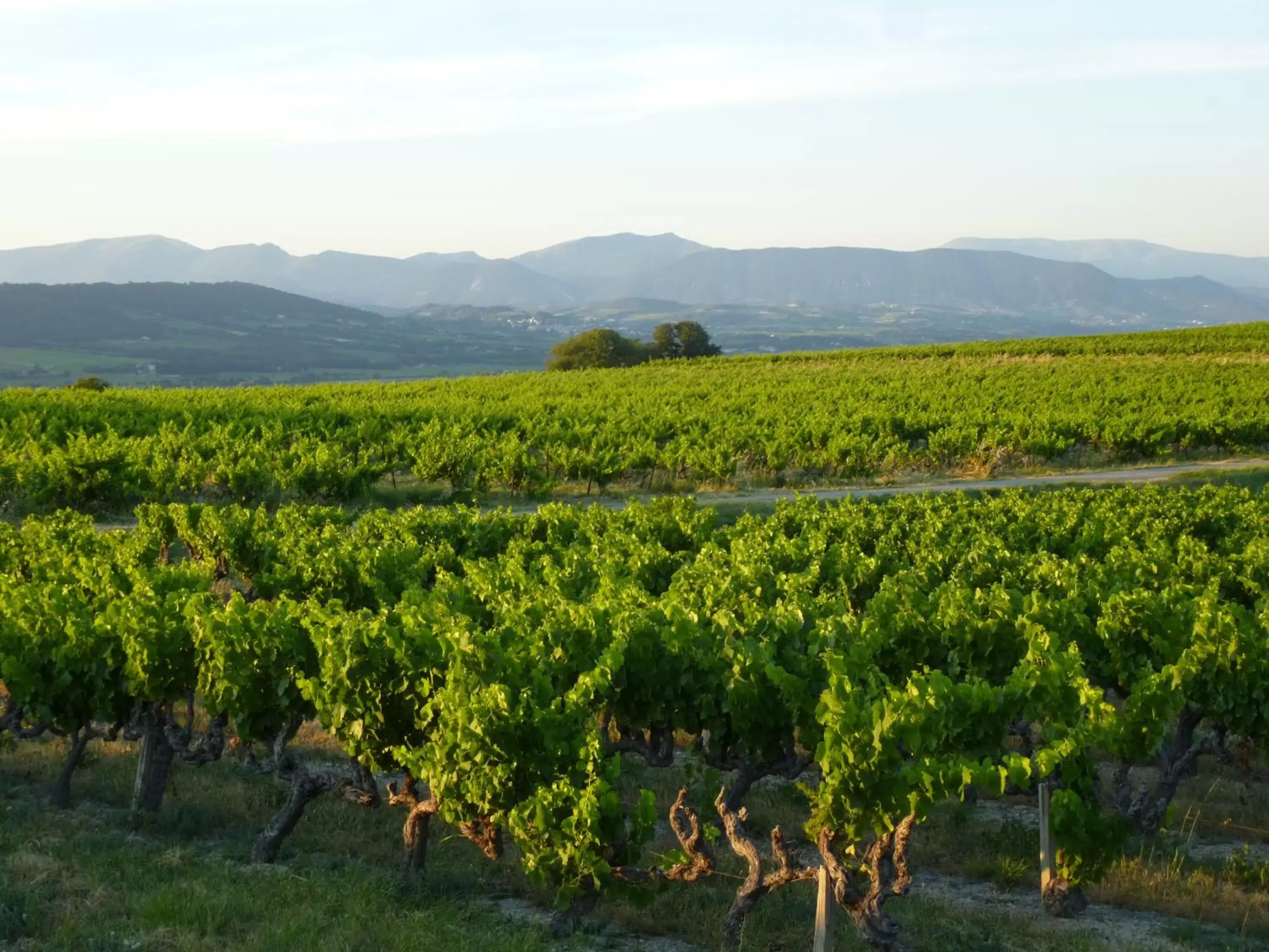 Off site in CHAMBRES D'HÔTES CLIMATISÉES avec CUISINE d'ÉTÉ "VILLA GOUR du PEYROL"