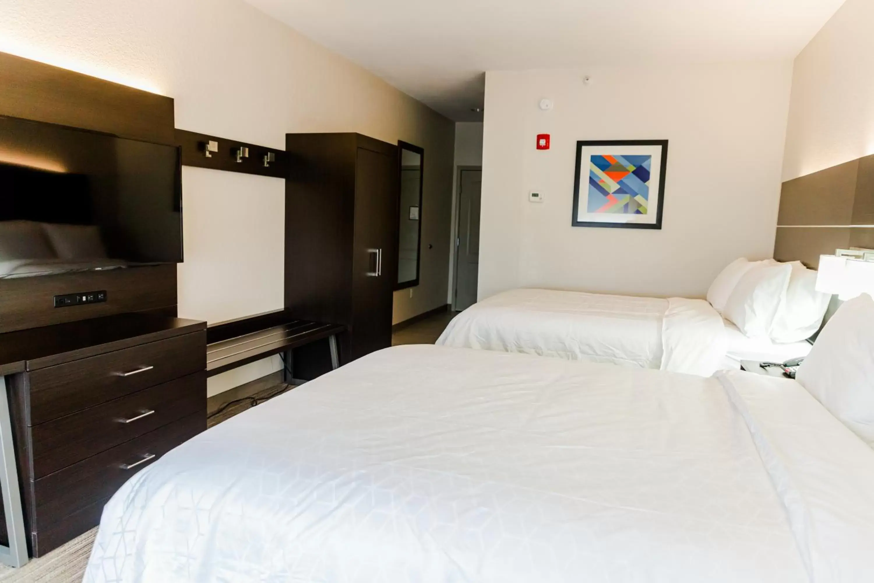 TV and multimedia, Bed in Holiday Inn Express Hotel & Suites Greenville, an IHG Hotel