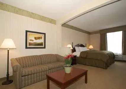 Bedroom in Comfort Suites McAlester