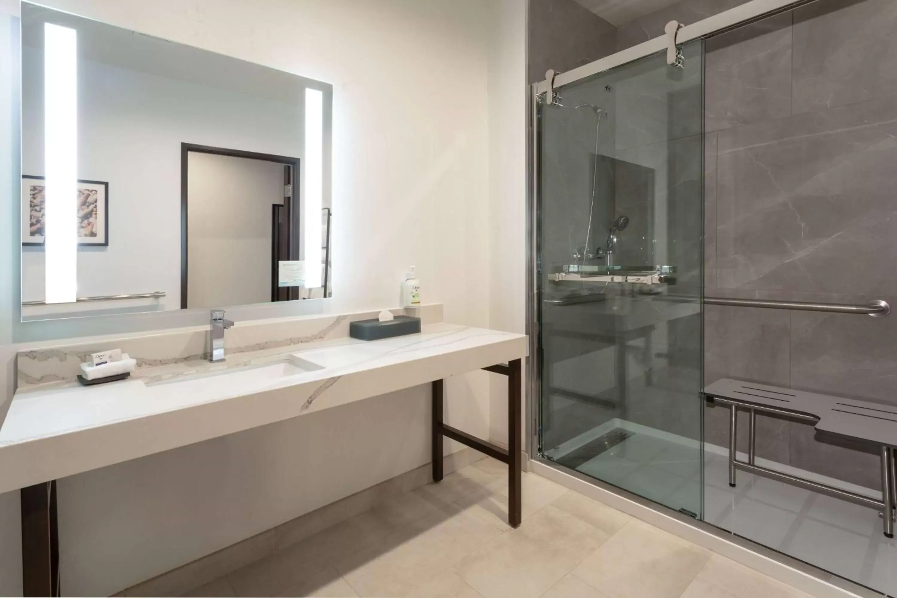 Bathroom in La Quinta Inn & Suites by Wyndham Galt Lodi North