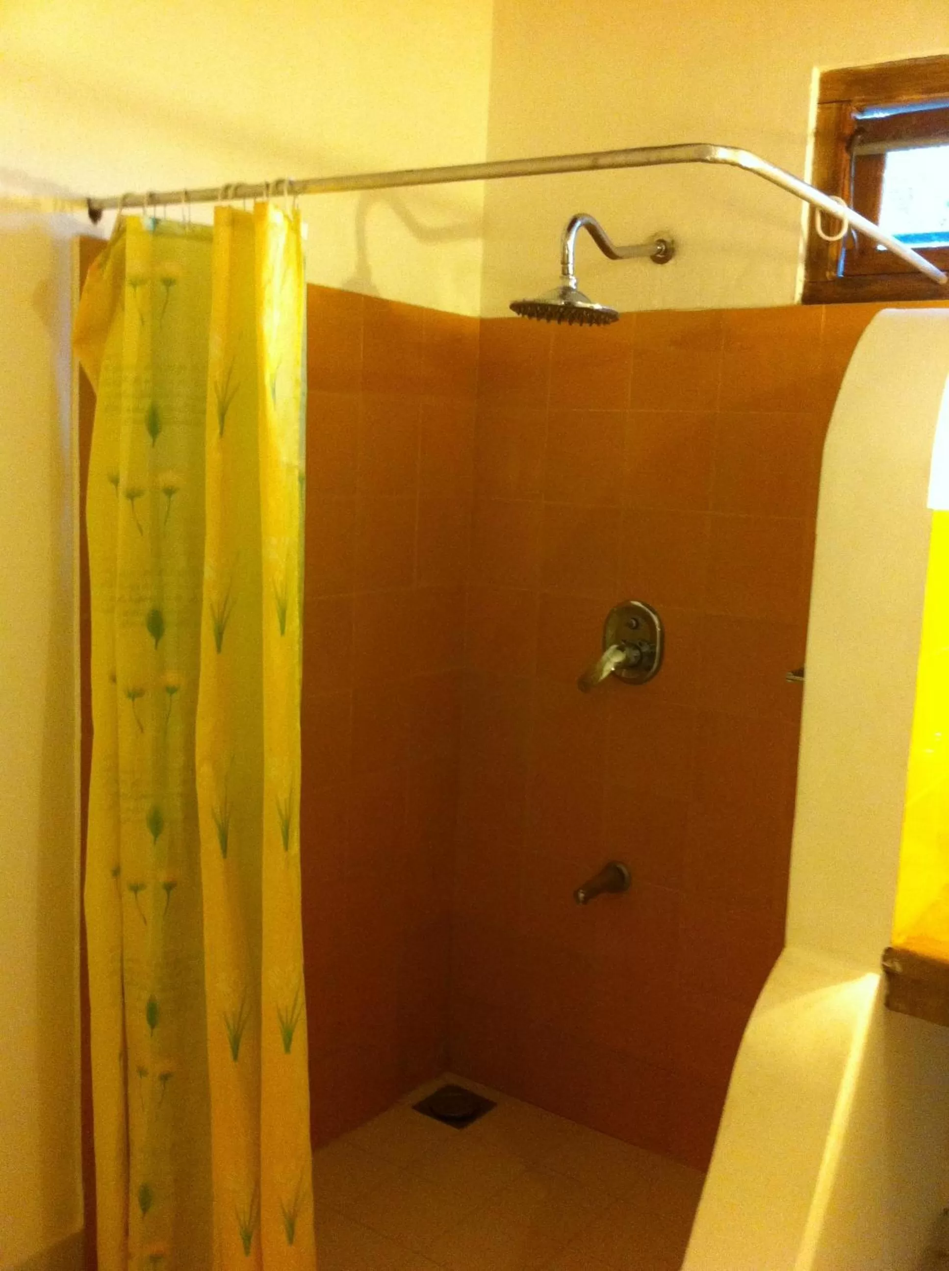 Shower in Little Paradise Tourist Guest House and Holiday Home