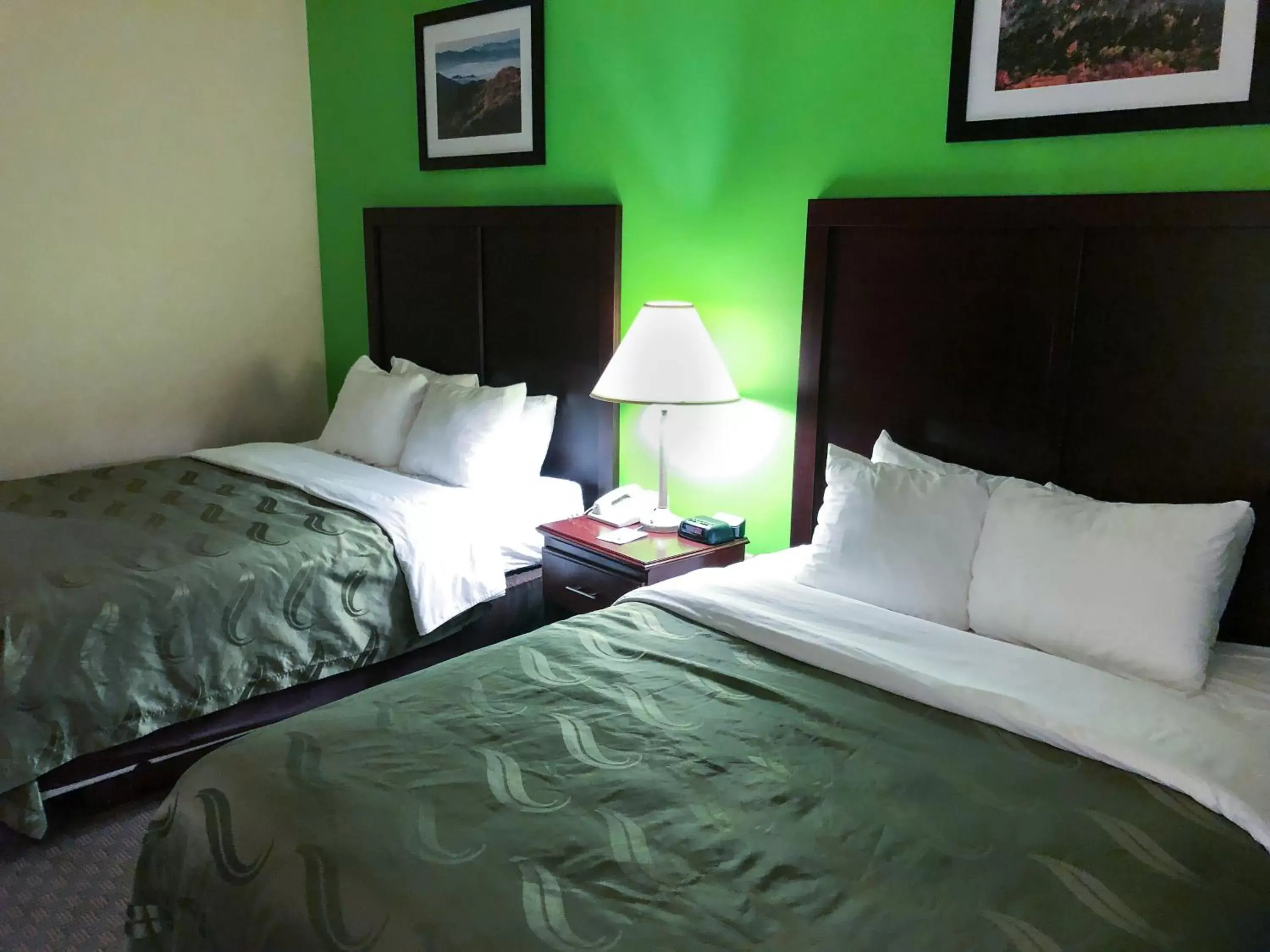 Queen Room with Two Queen Beds - Non-Smoking in Quality Inn and Suites Alma