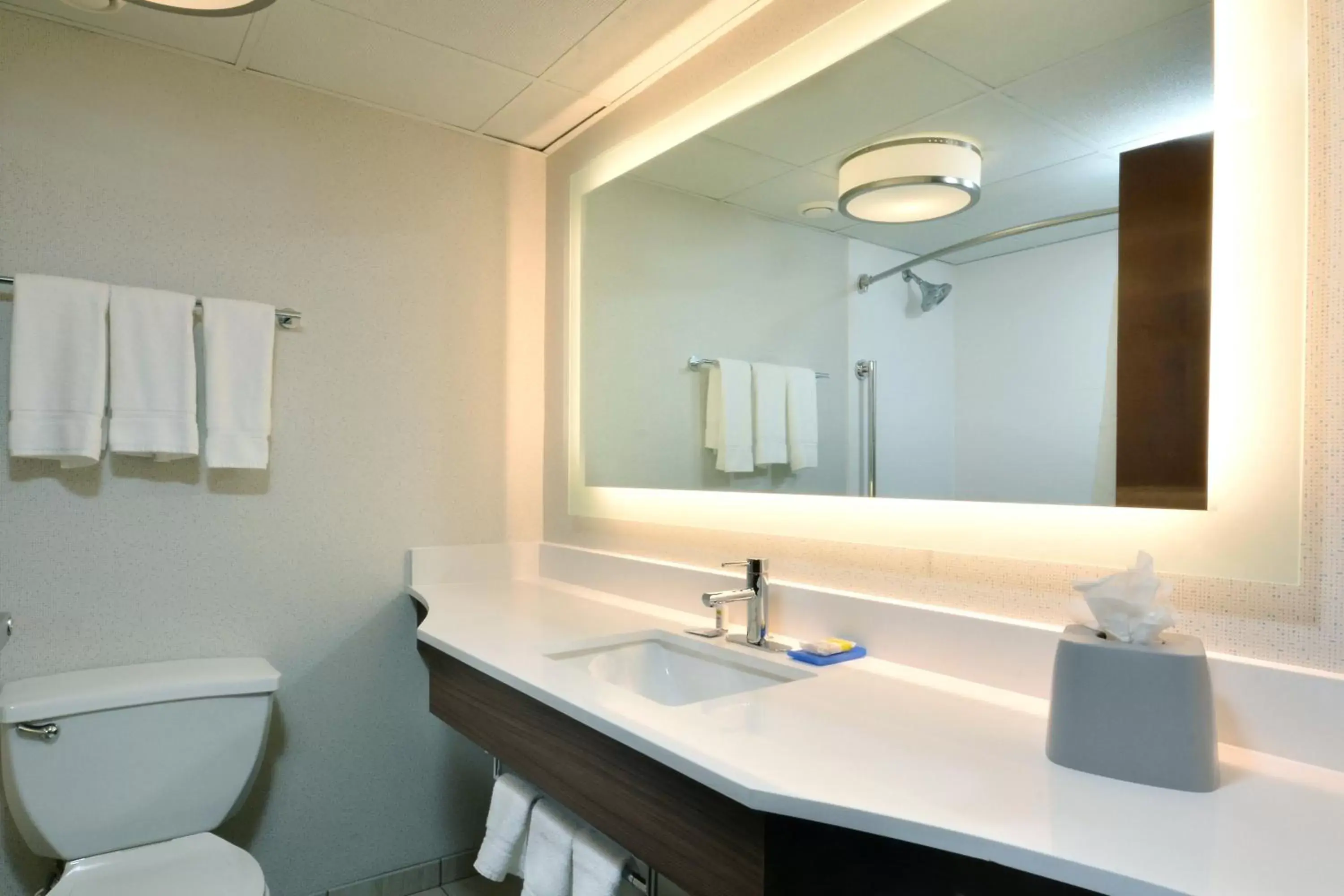 Bathroom in Holiday Inn Express Durham, an IHG Hotel