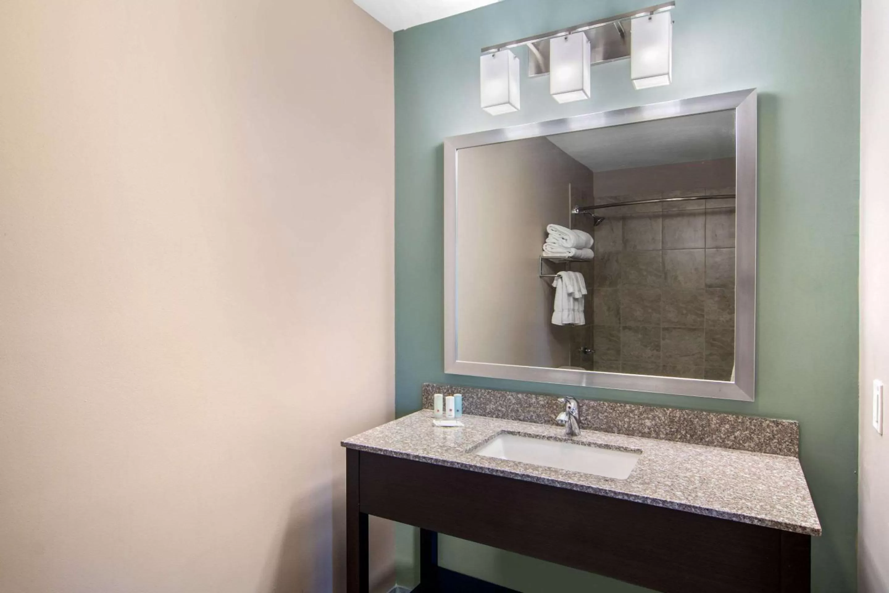 Bathroom in Clarion Inn & Suites Atlanta Downtown