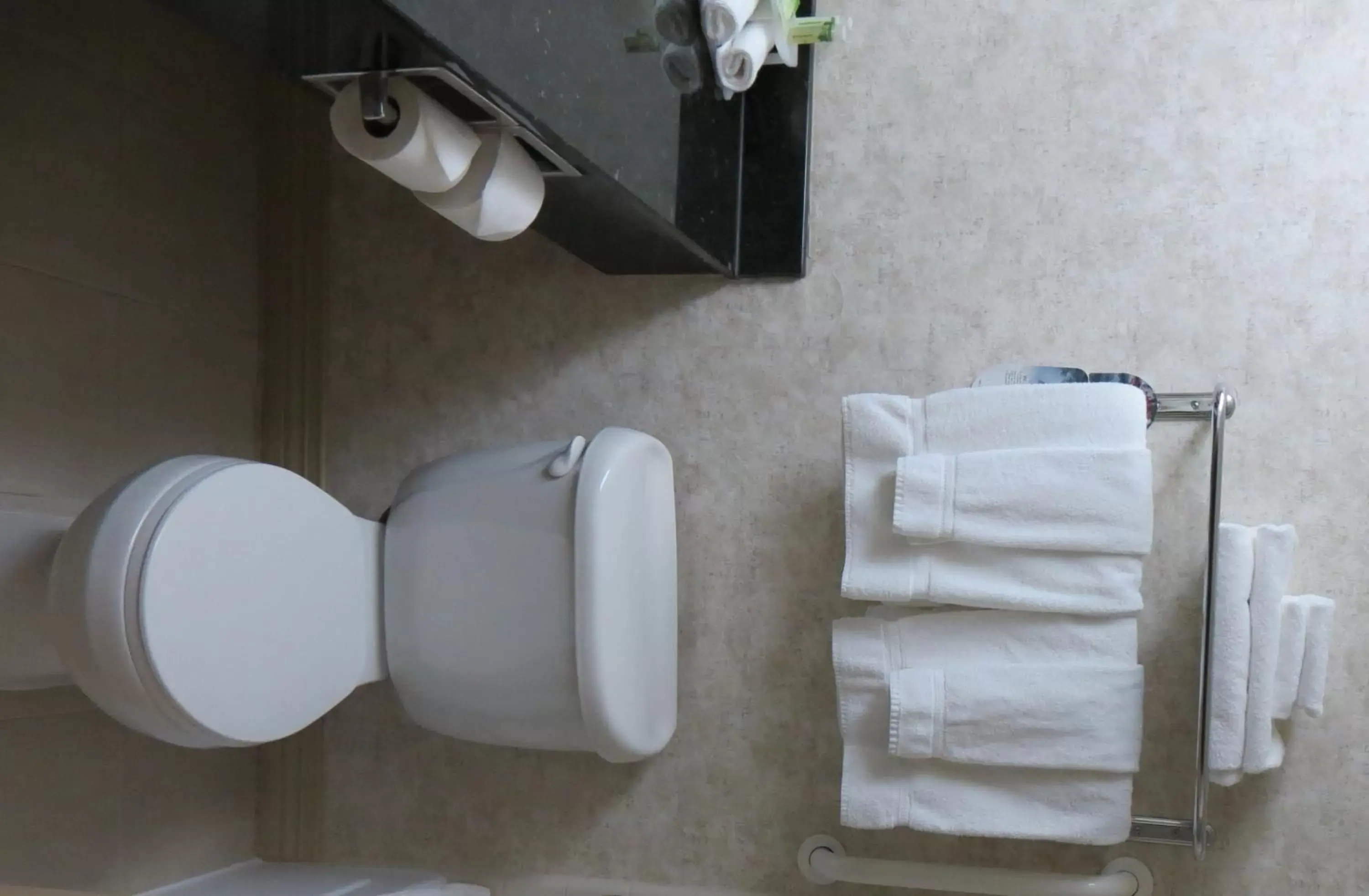 Toilet, Bathroom in Holiday Inn Express Hotel & Suites Delaware-Columbus Area, an IHG Hotel