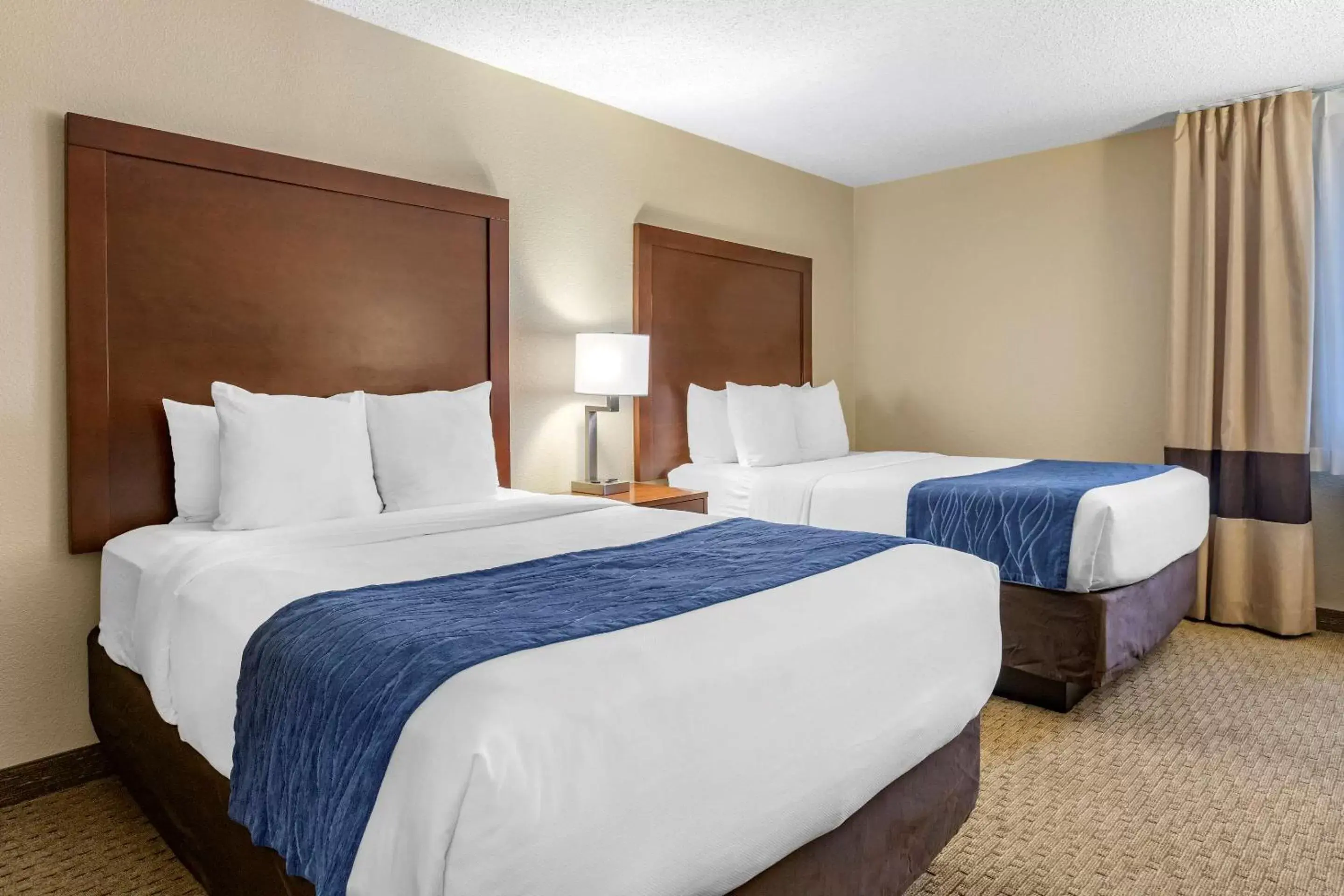 Photo of the whole room, Bed in Comfort Inn Near Greenfield Village