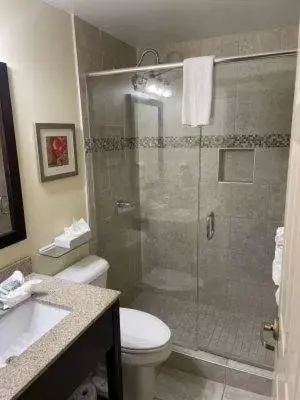 Shower, Bathroom in Ashley Quarters Hotel