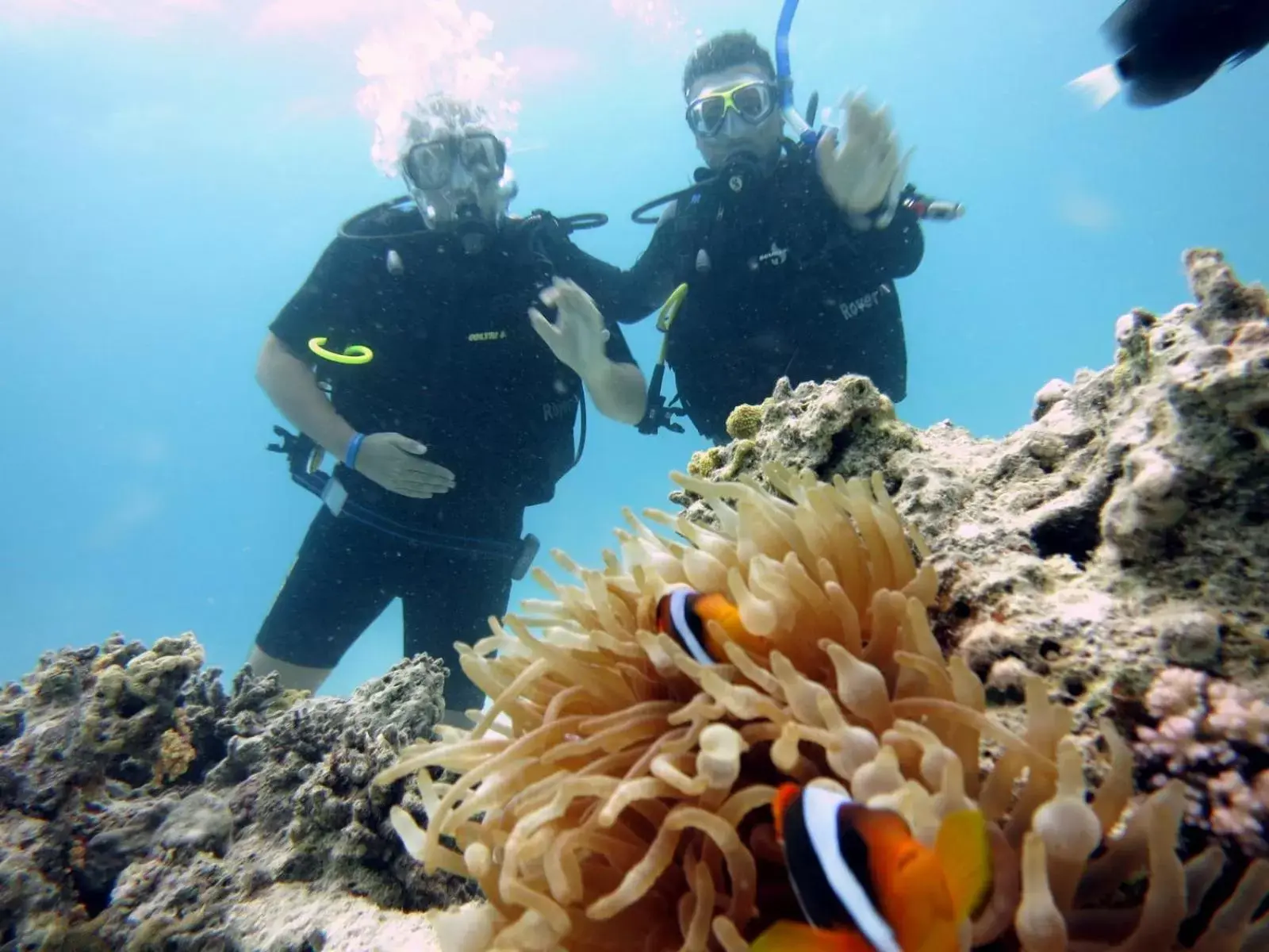 Diving, Snorkeling/Diving in Jasmine Palace Resort