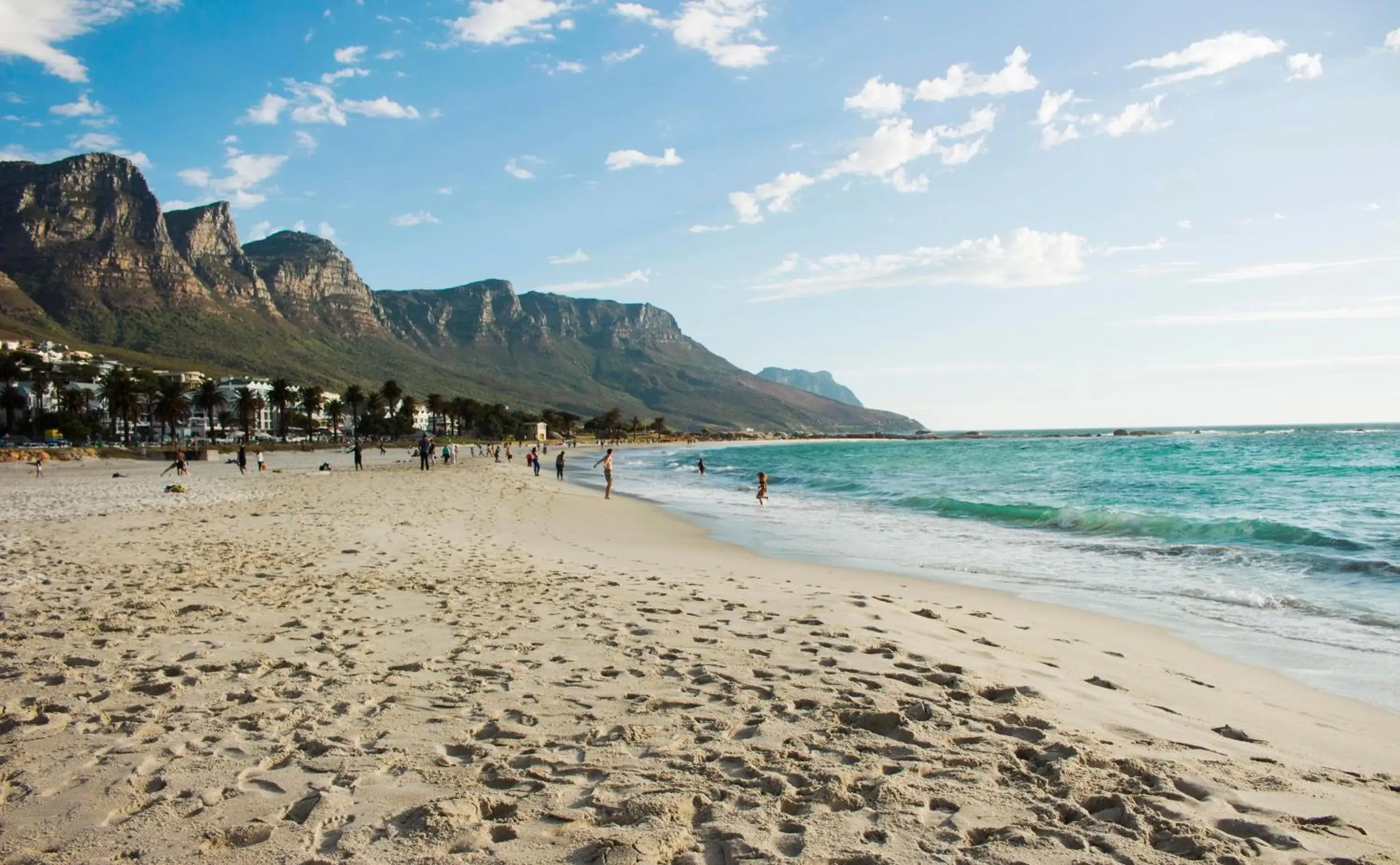 Natural landscape, Beach in Big Blue Backpackers