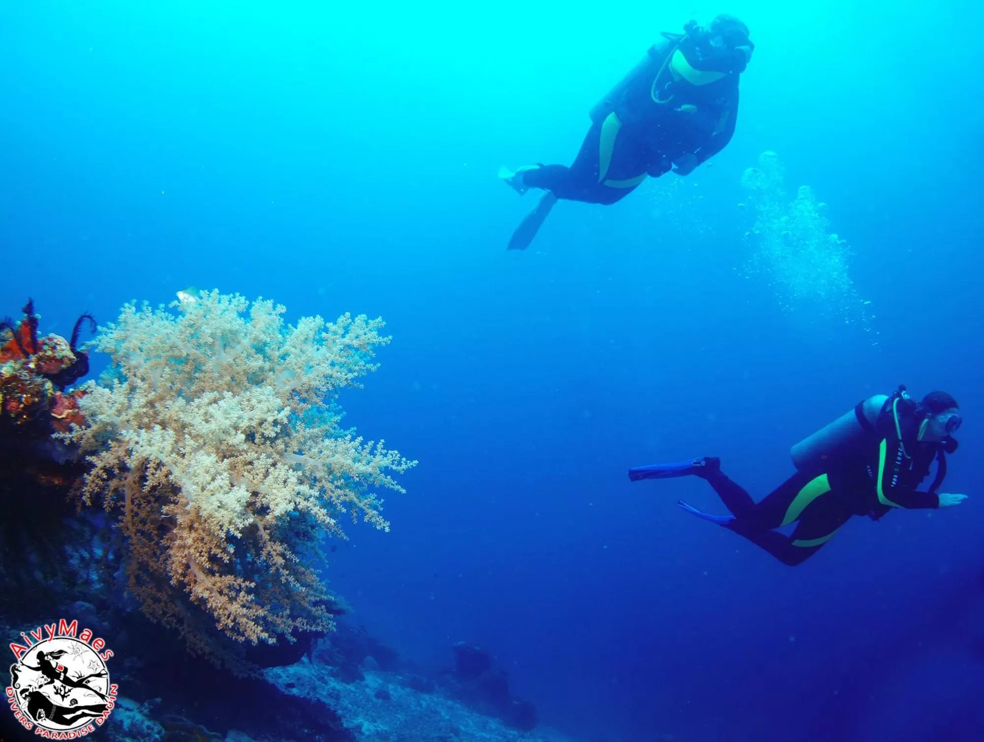 Snorkeling in AivyMaes Divers Resort