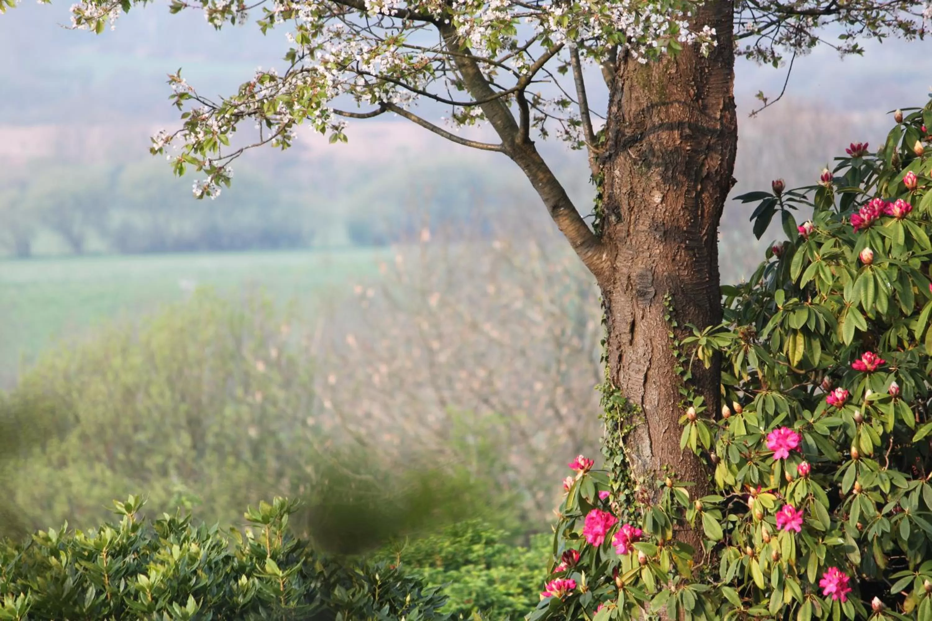 Spring in Lyzzick Hall Hotel