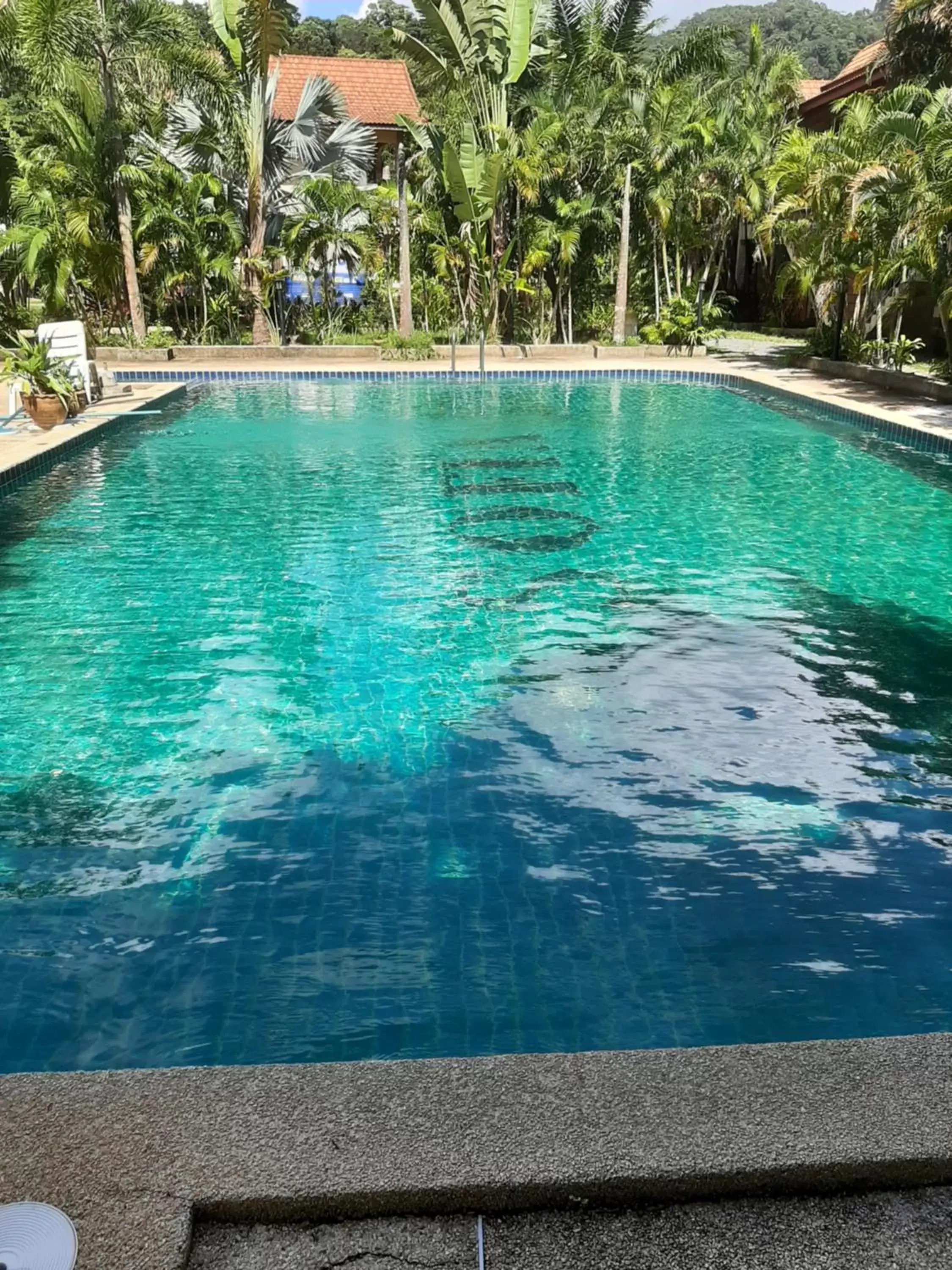 Swimming Pool in Sofia Garden Resort