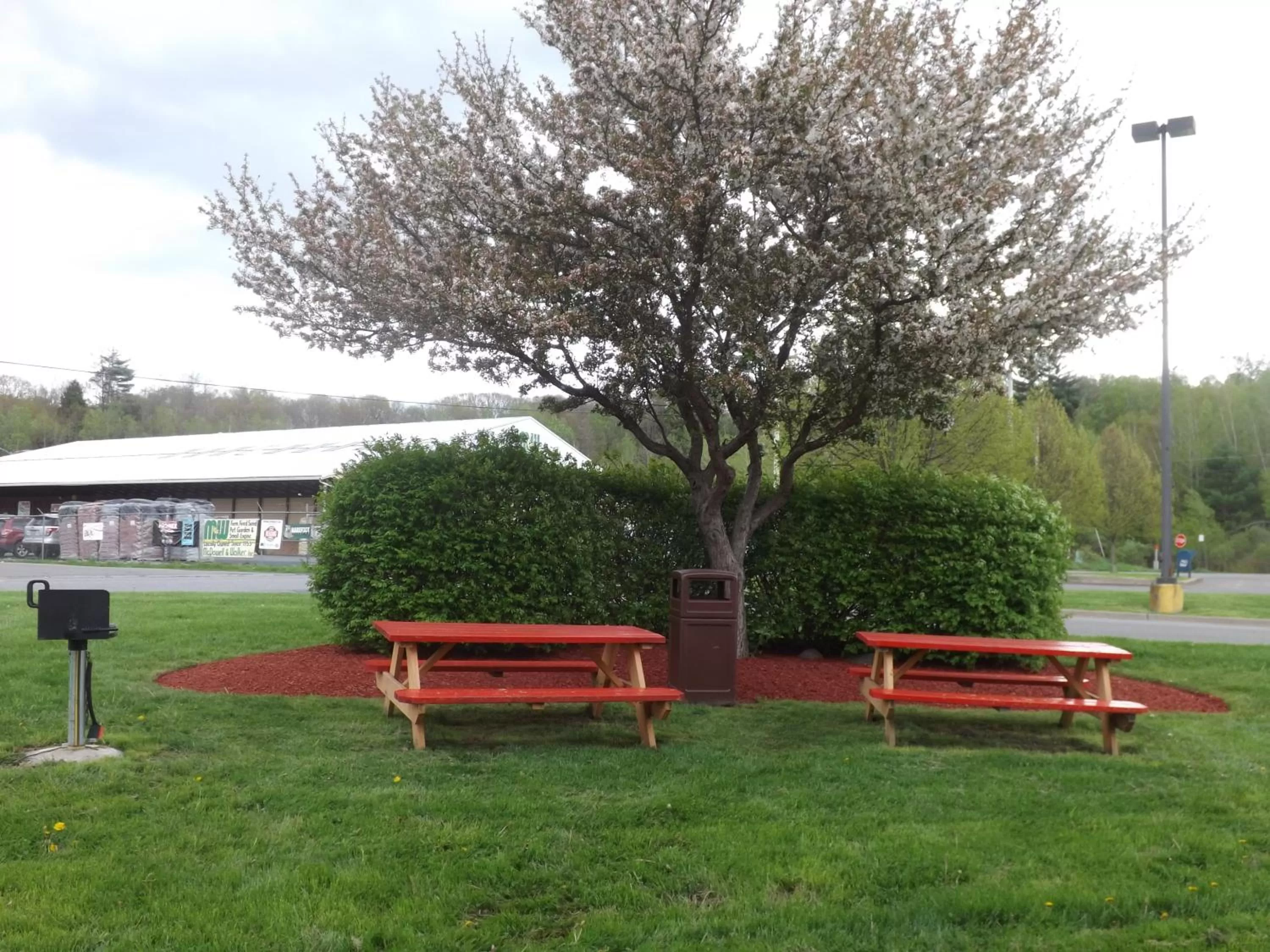 BBQ facilities in Super 8 by Wyndham Sidney NY