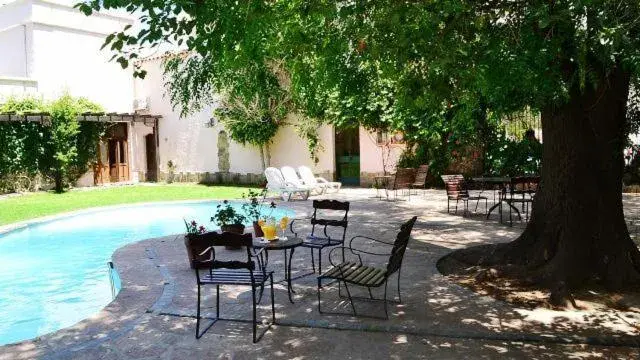 Garden, Swimming Pool in Hotel Salta