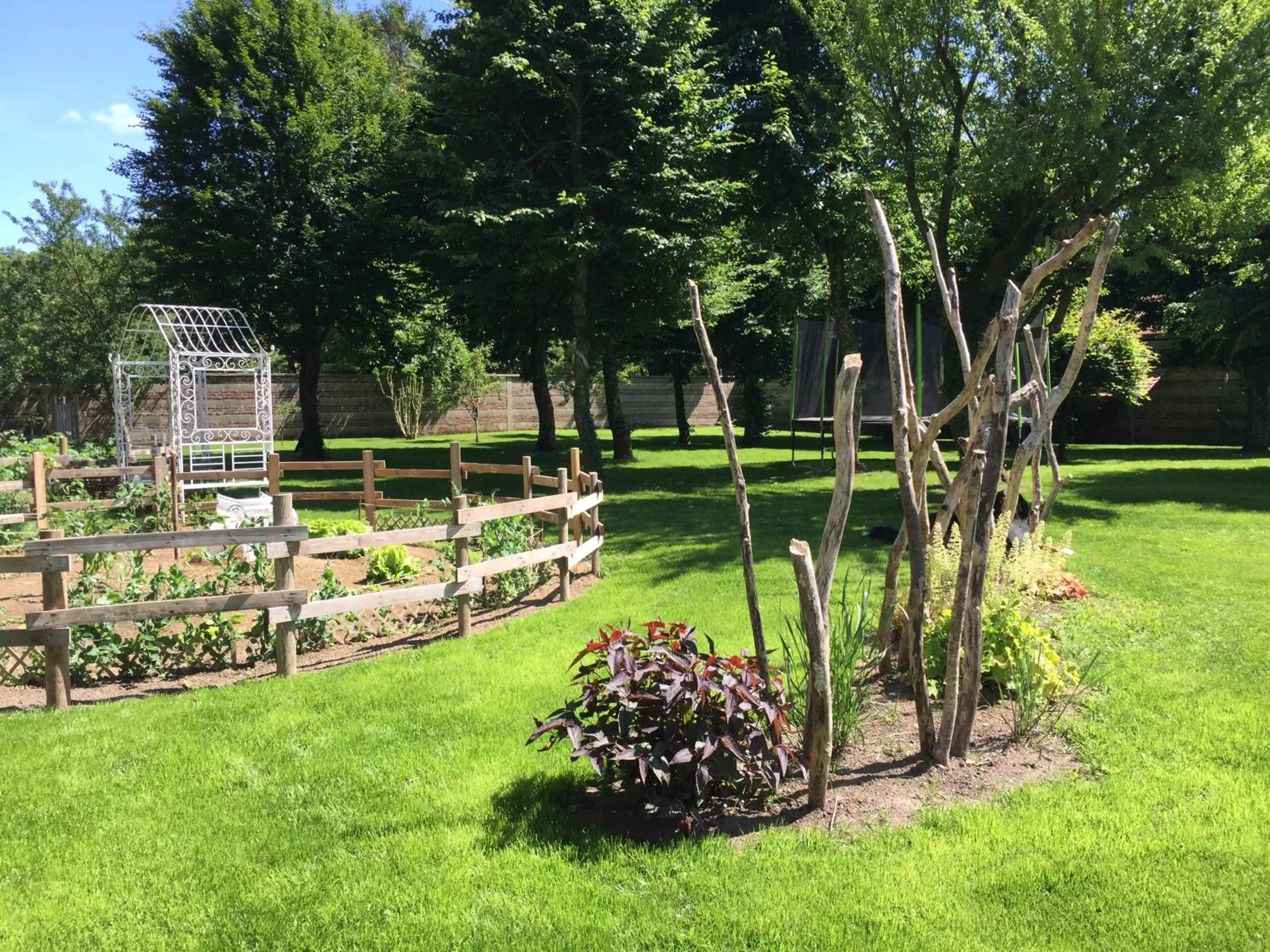 Garden in Chambres d'hôtes Nuits Campagnardes