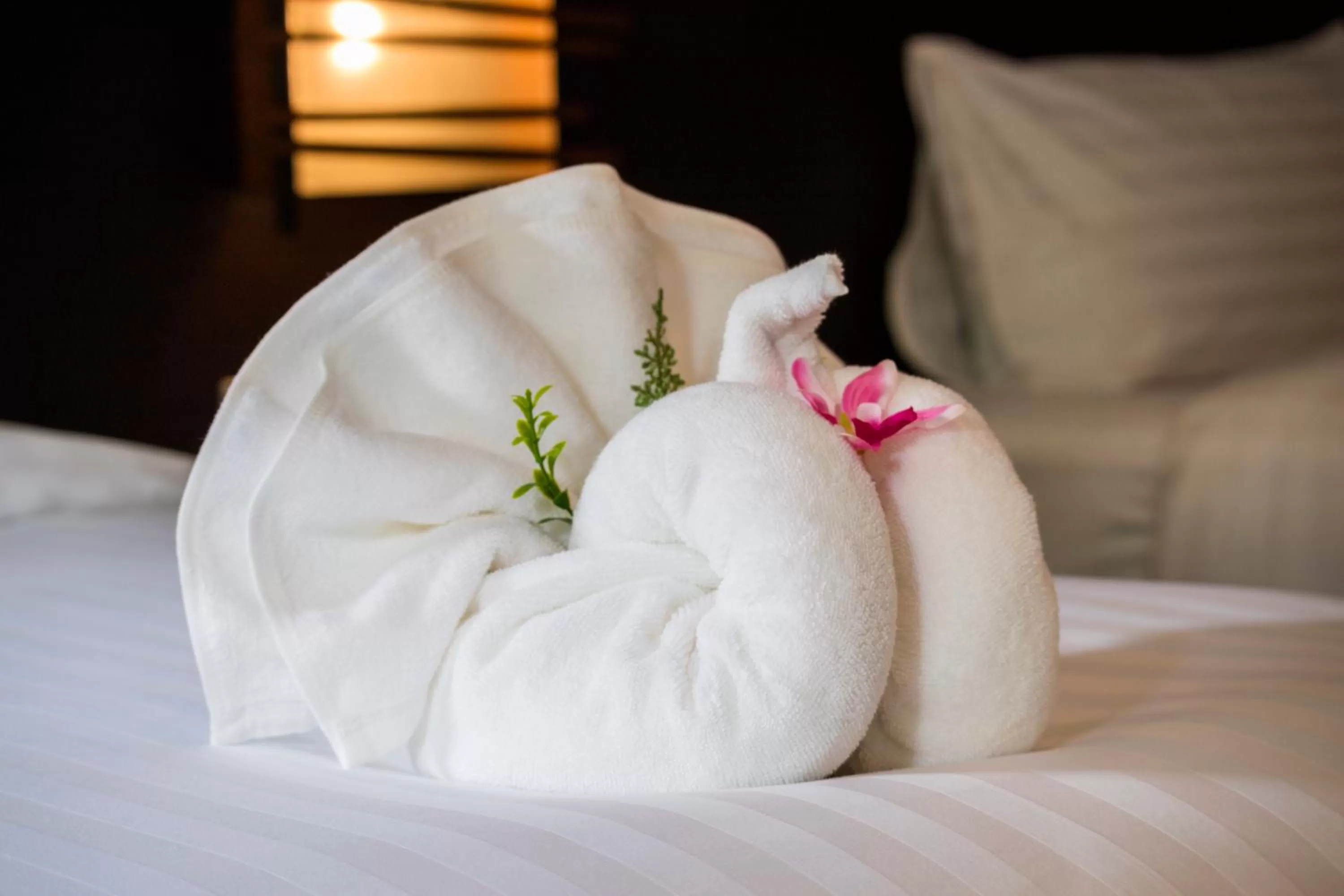 Photo of the whole room, Bed in S2 Residence