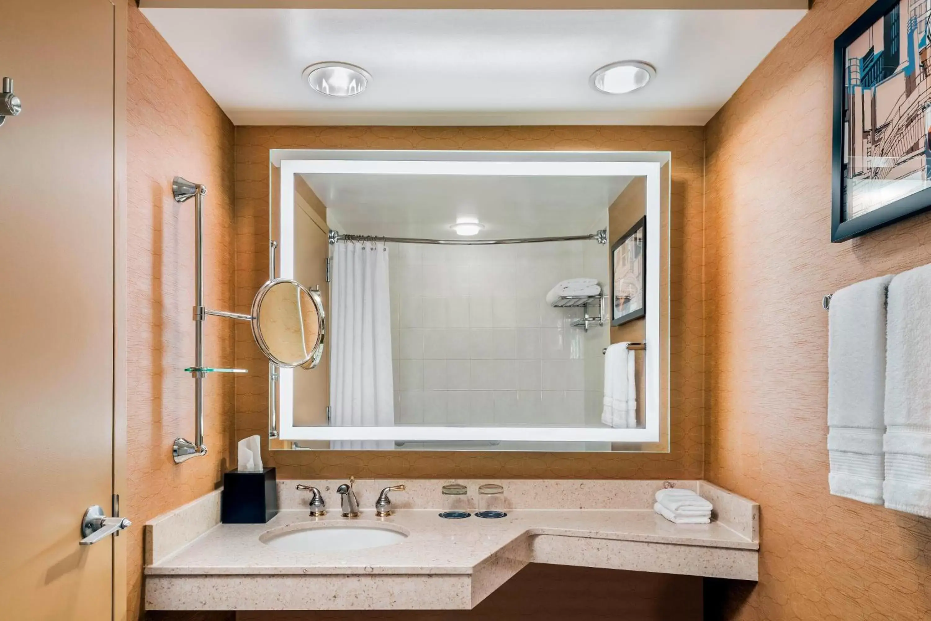 Bathroom in Sheraton Toronto Airport Hotel & Conference Centre