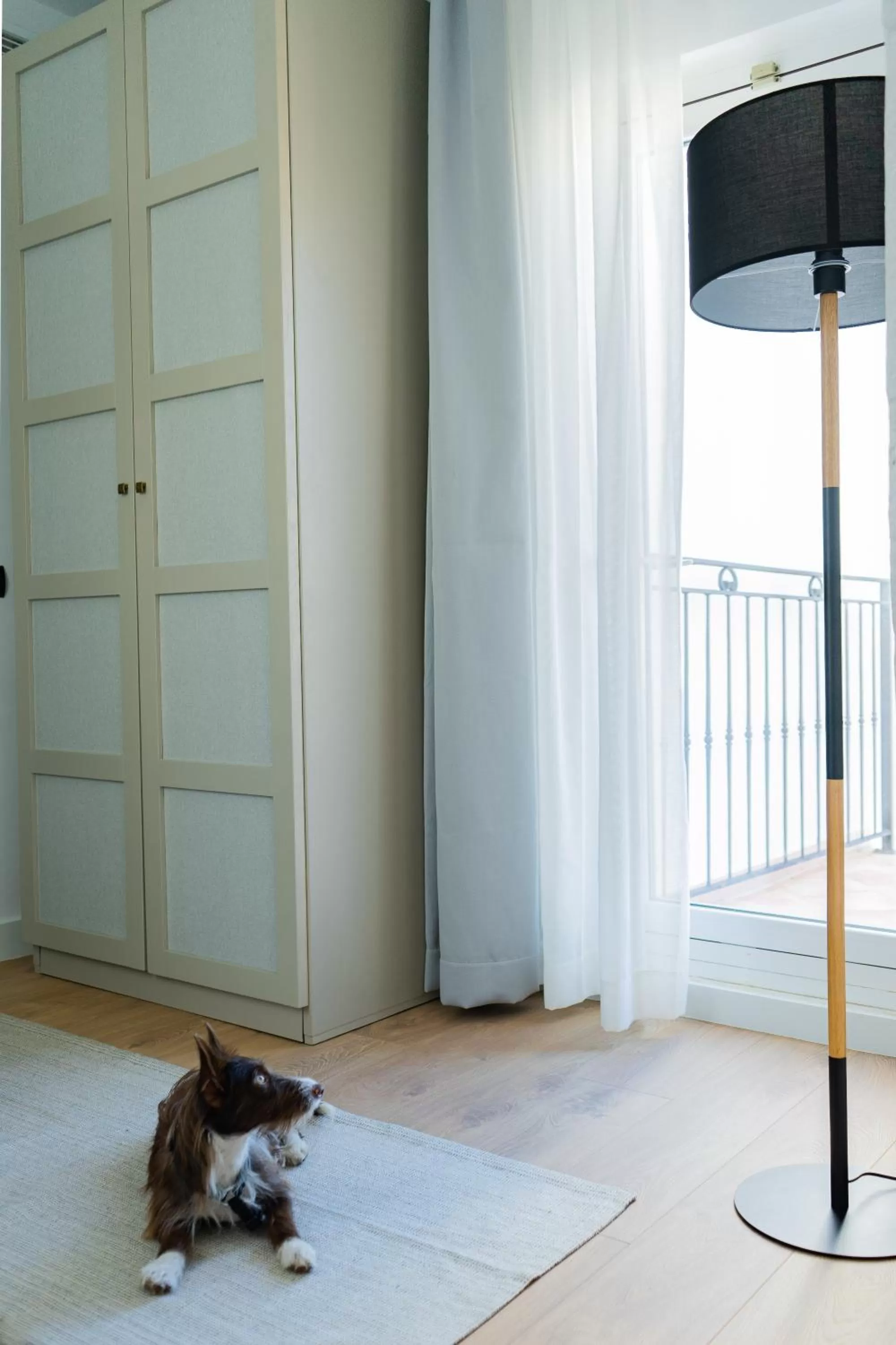 Pets in Hotel San Miguel Menorca