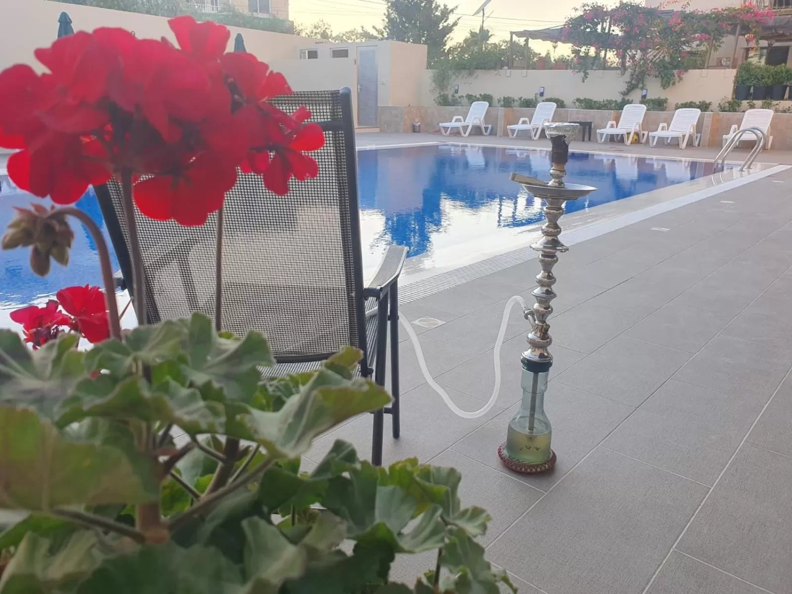 Pool view in Salome Hotel