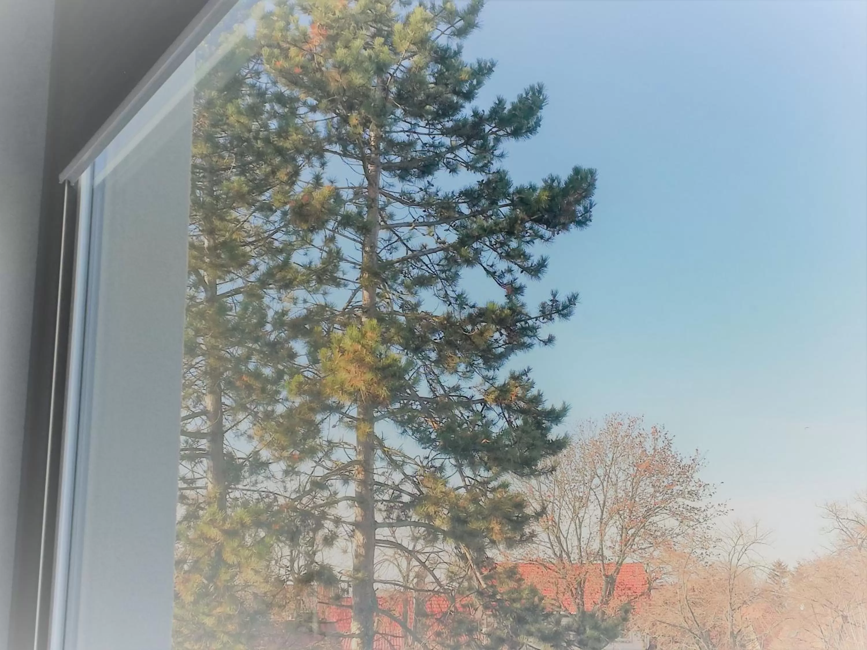 View (from property/room) in Hotel & Restaurant Alte Molkerei Kölleda