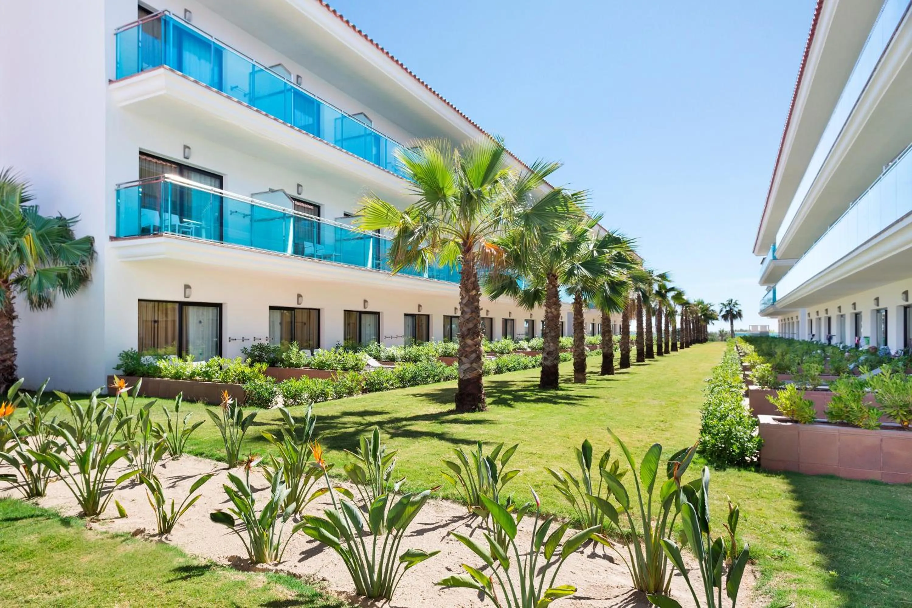 Garden in Hotel Best Costa Ballena