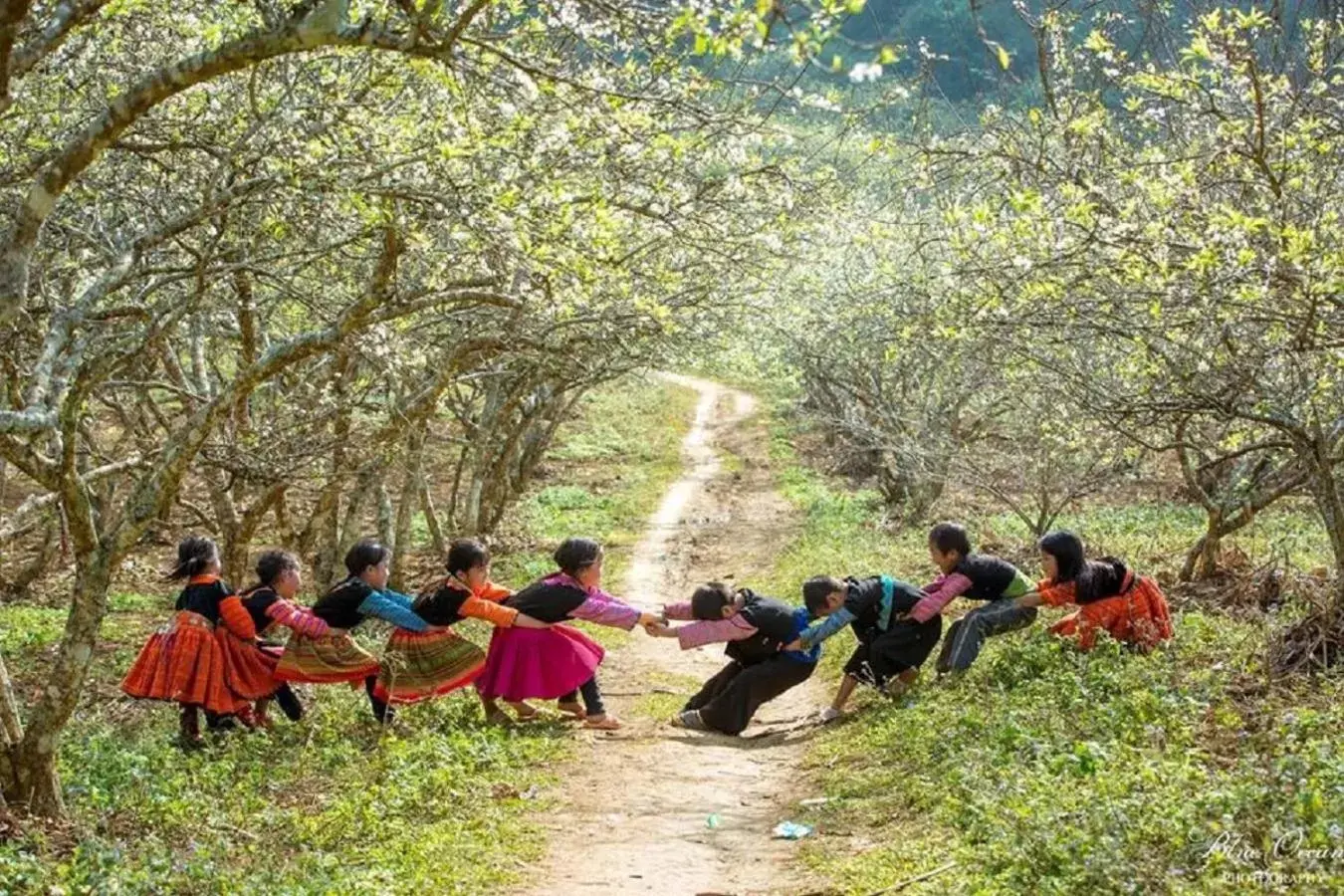 Natural landscape in Hanoi Golden Holiday Hotel