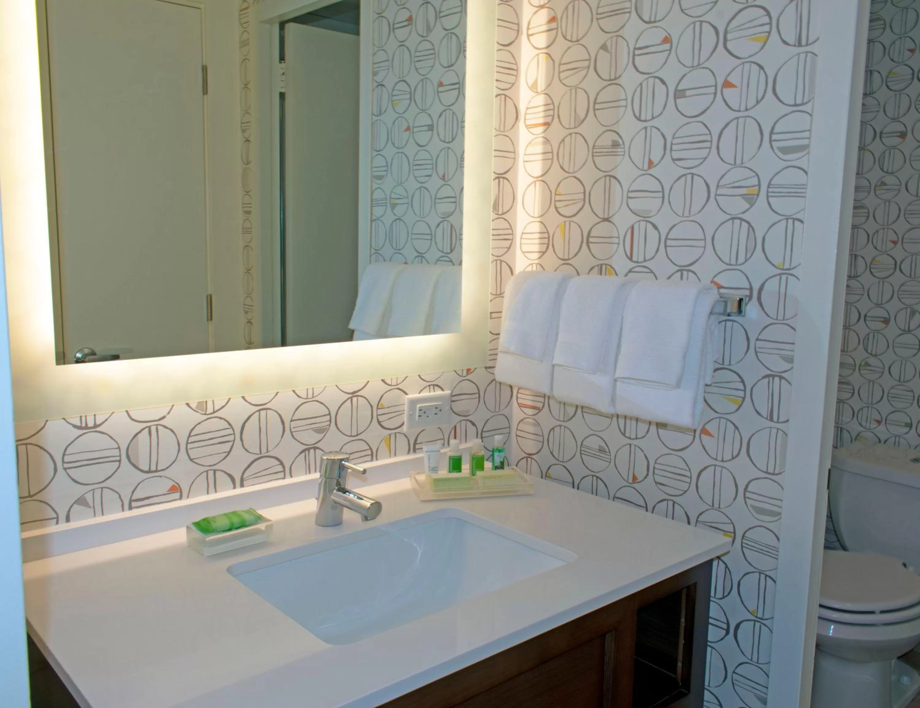 Bathroom in Holiday Inn Binghamton-Downtown Hawley Street by IHG