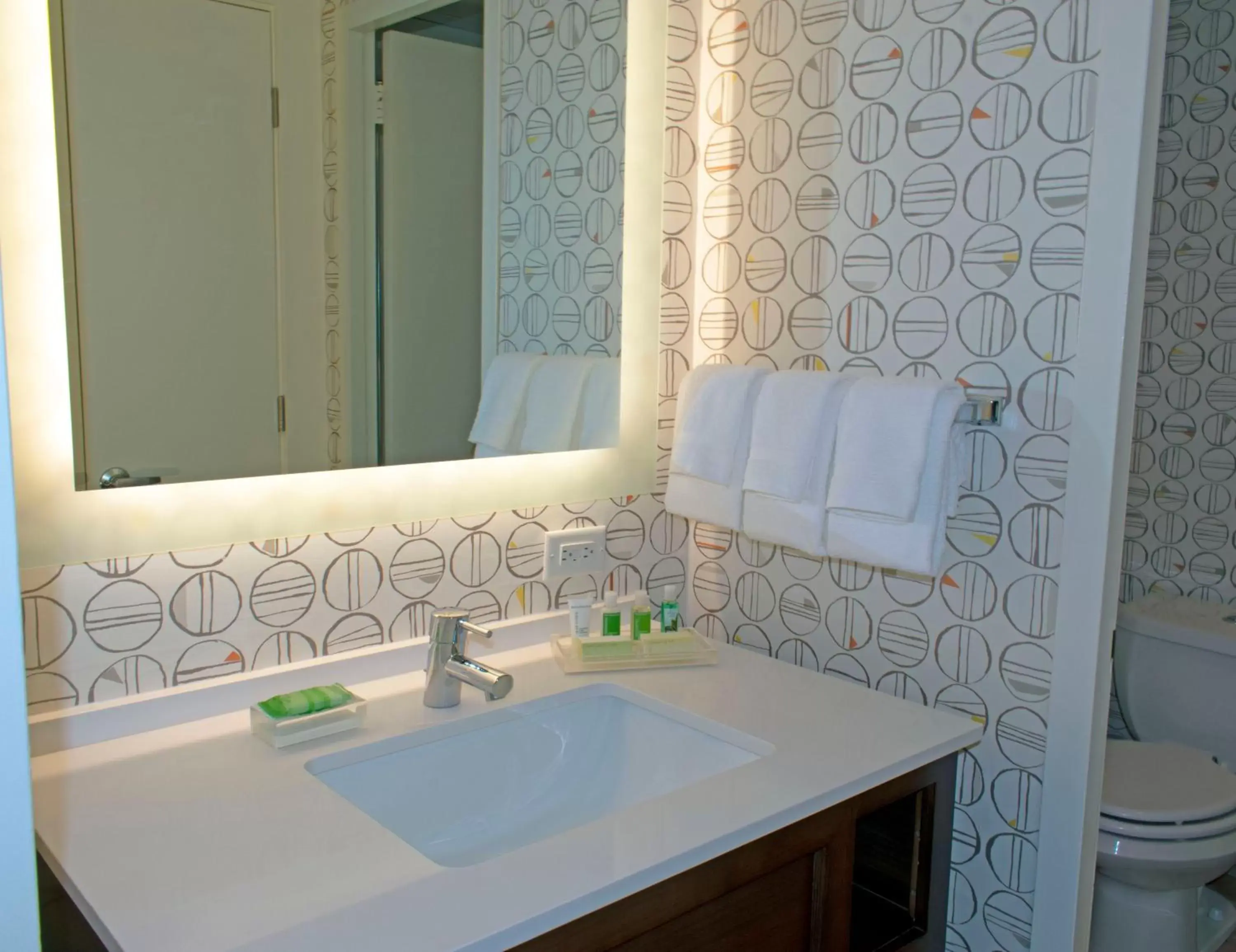 Bathroom in Holiday Inn Binghamton-Downtown Hawley Street, an IHG Hotel