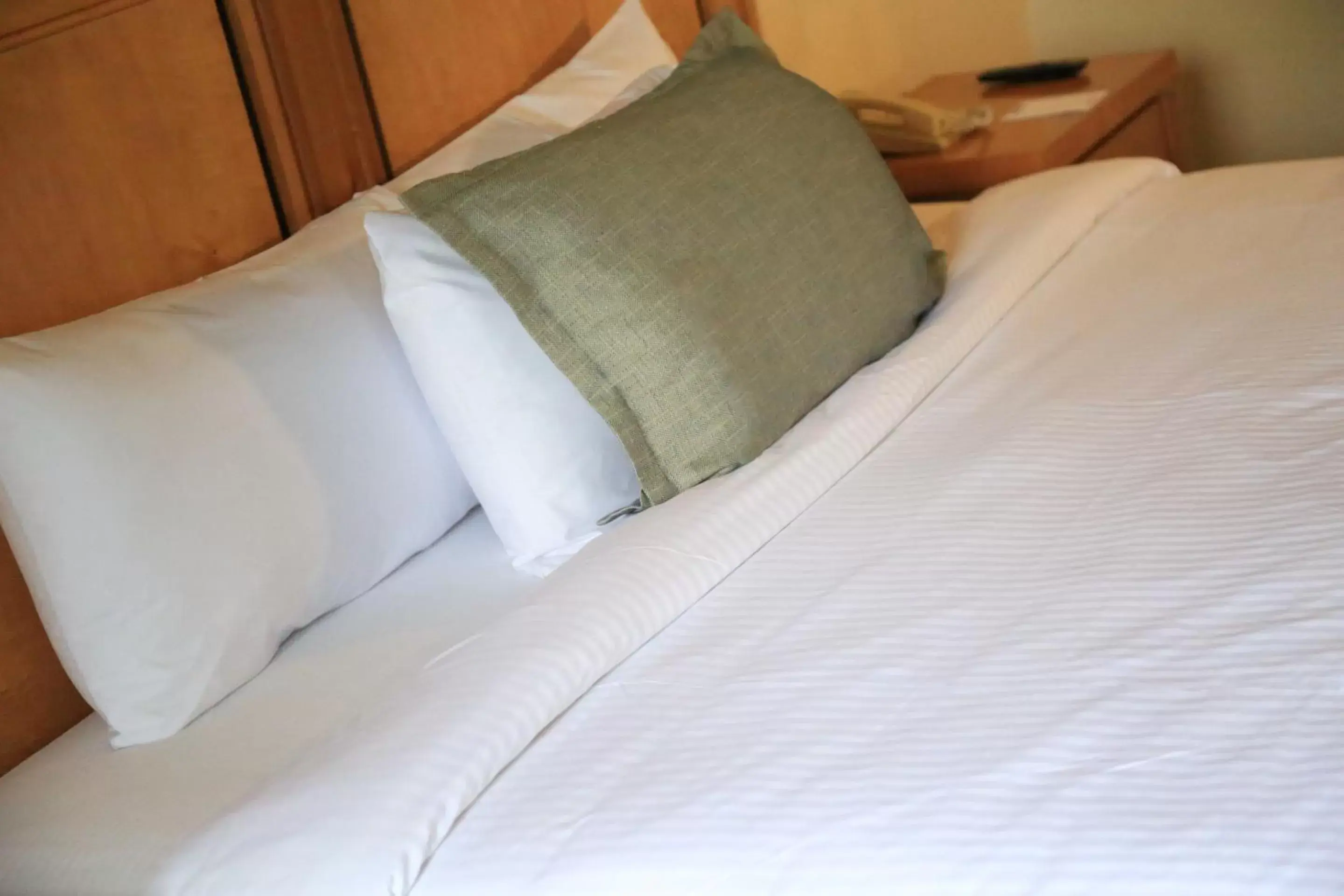 Bedroom, Bed in Quality Inn & Suites Saltillo Eurotel