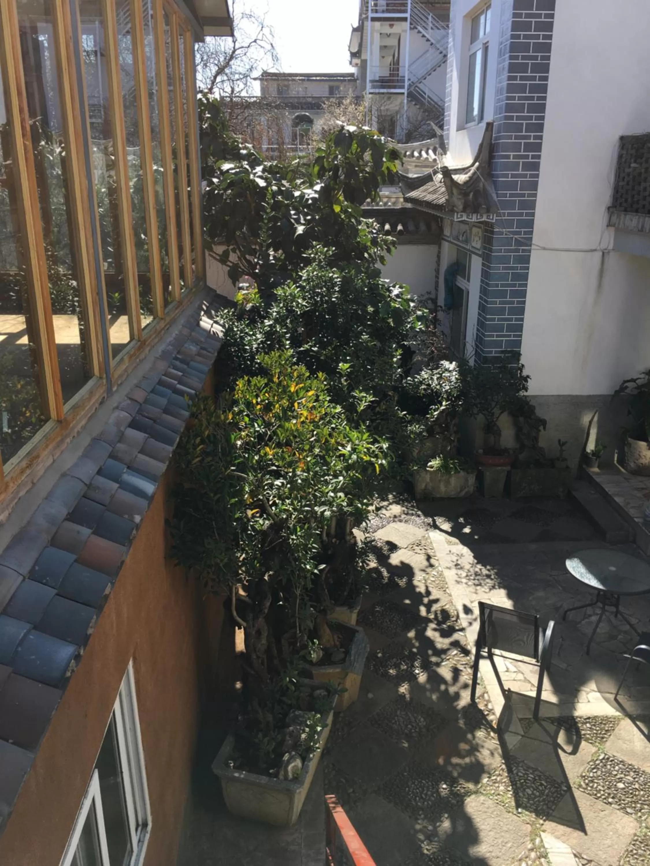 Property building in The Lily Pad Inn