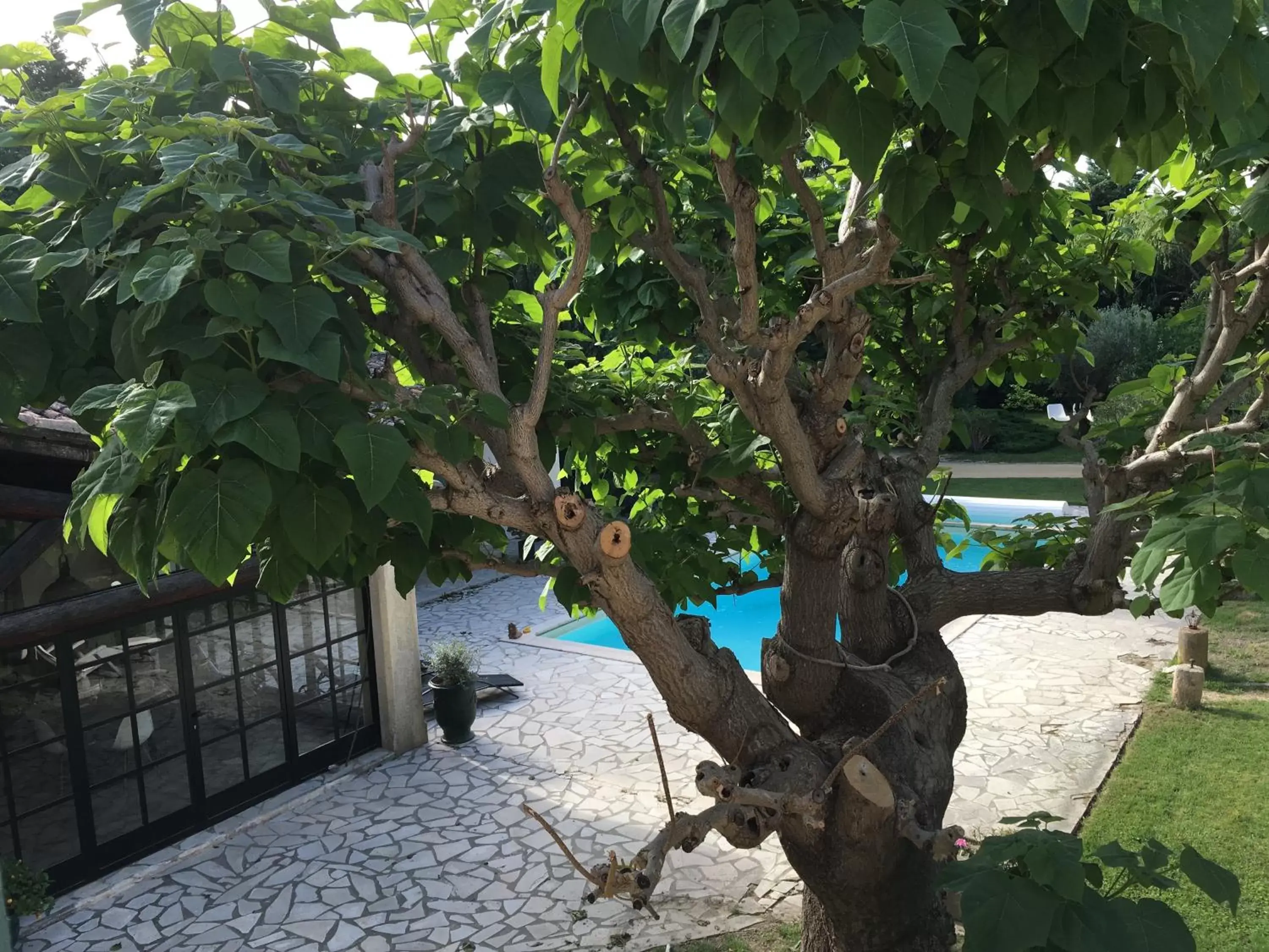 Garden view, Swimming Pool in Mas Armelin